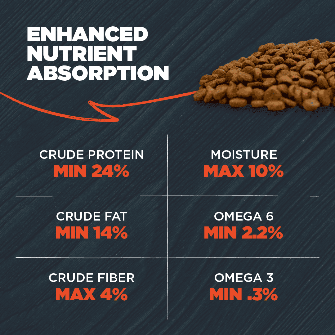 Blackwood Dry Dog Food Lamb & Chicken Meal with Ancient Grains 24 lb.