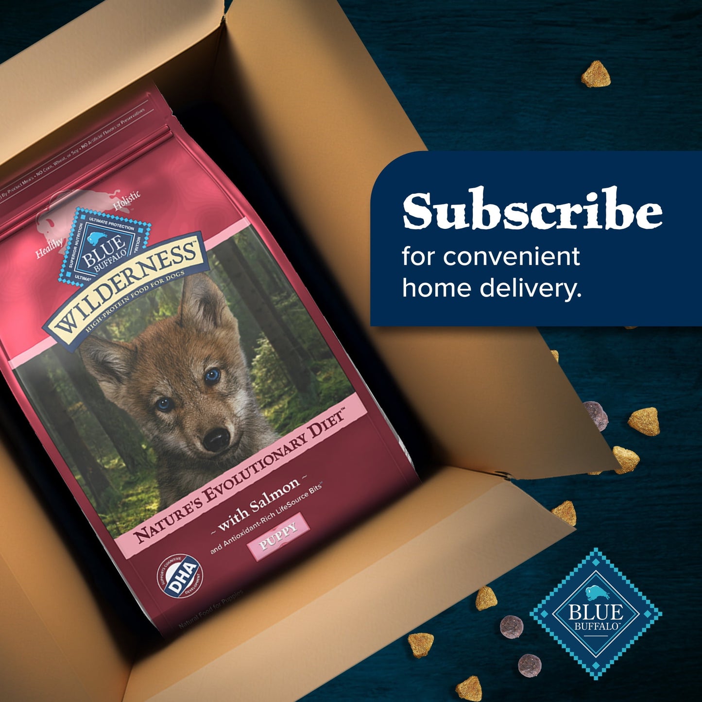 Blue Buffalo Wilderness High-Protein Natural Dry Food for Puppies, Salmon Recipe 4.5-lb. Bag