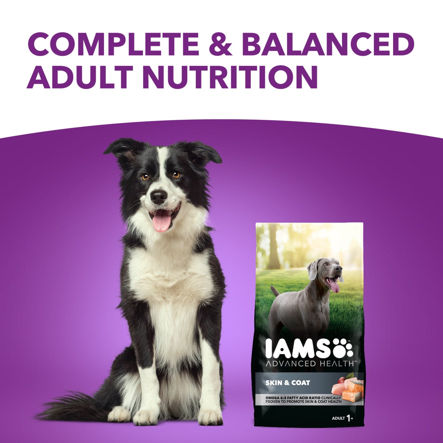 Iams Advanced Health Skin & Coat Chicken And Salmon Recipe Adult Dry Dog Food, 27 Lb Bag