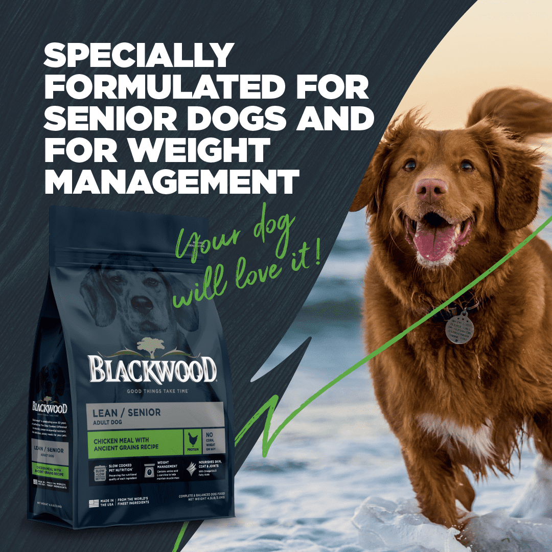 Blackwood Dry Dog Food Lean/Senior Chicken Meal with Ancient Grains 24 lb.