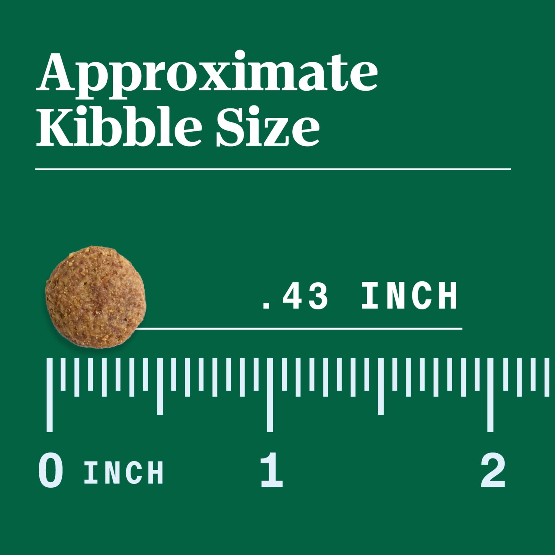 Nutro Limited Ingredient Diet Dry Dog Food, Salmon & Lentils Recipe, 22 Lbs.