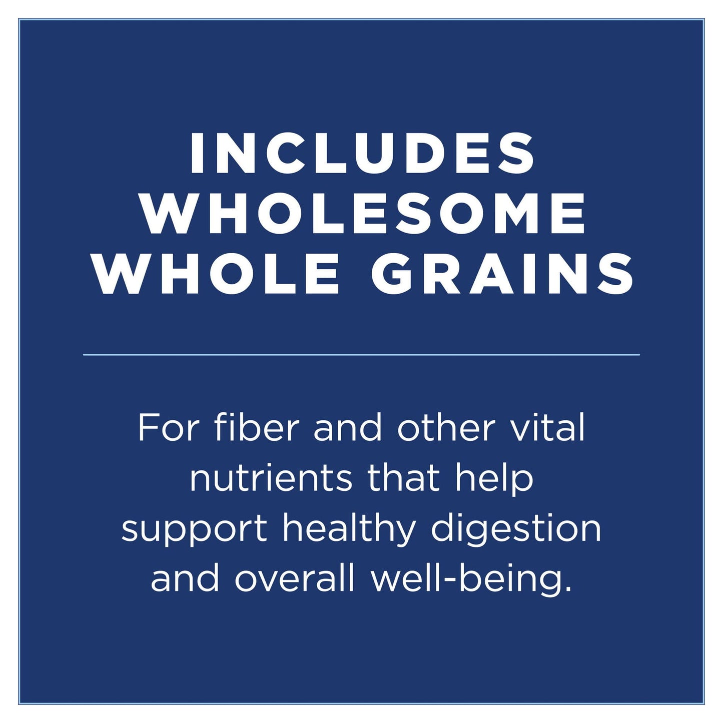 Natural Balance L.I.D. Limited Ingredient Diets Dry Dog Food, 4 Pounds, Salmon & Brown Rice Puppy Formula