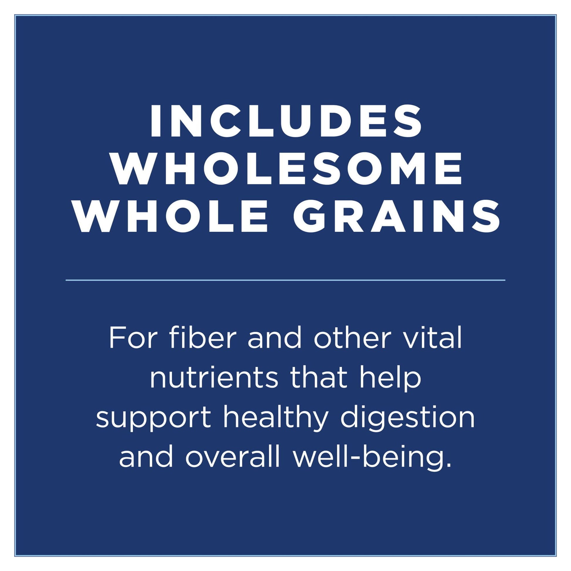 Natural Balance L.I.D. Limited Ingredient Diets Dry Dog Food, 4 Pounds, Salmon & Brown Rice Puppy Formula