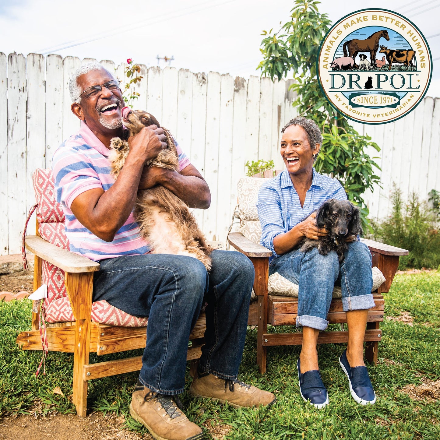 Dr. Pol Healthy Balance Limited Ingredient Grain-Free Salmon Recipe Dog Food, 4 lb. Bag