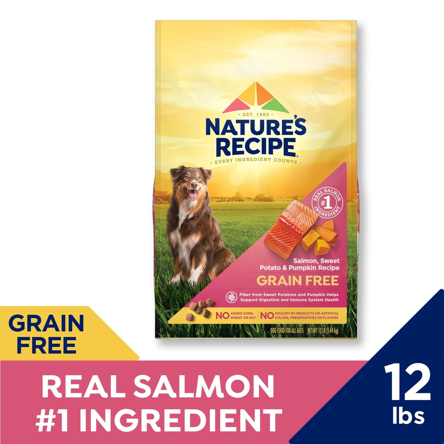 Nature’s Recipe Grain Free Salmon, Sweet Potato & Pumpkin Recipe Dry Dog Food, 12 lb. Bag