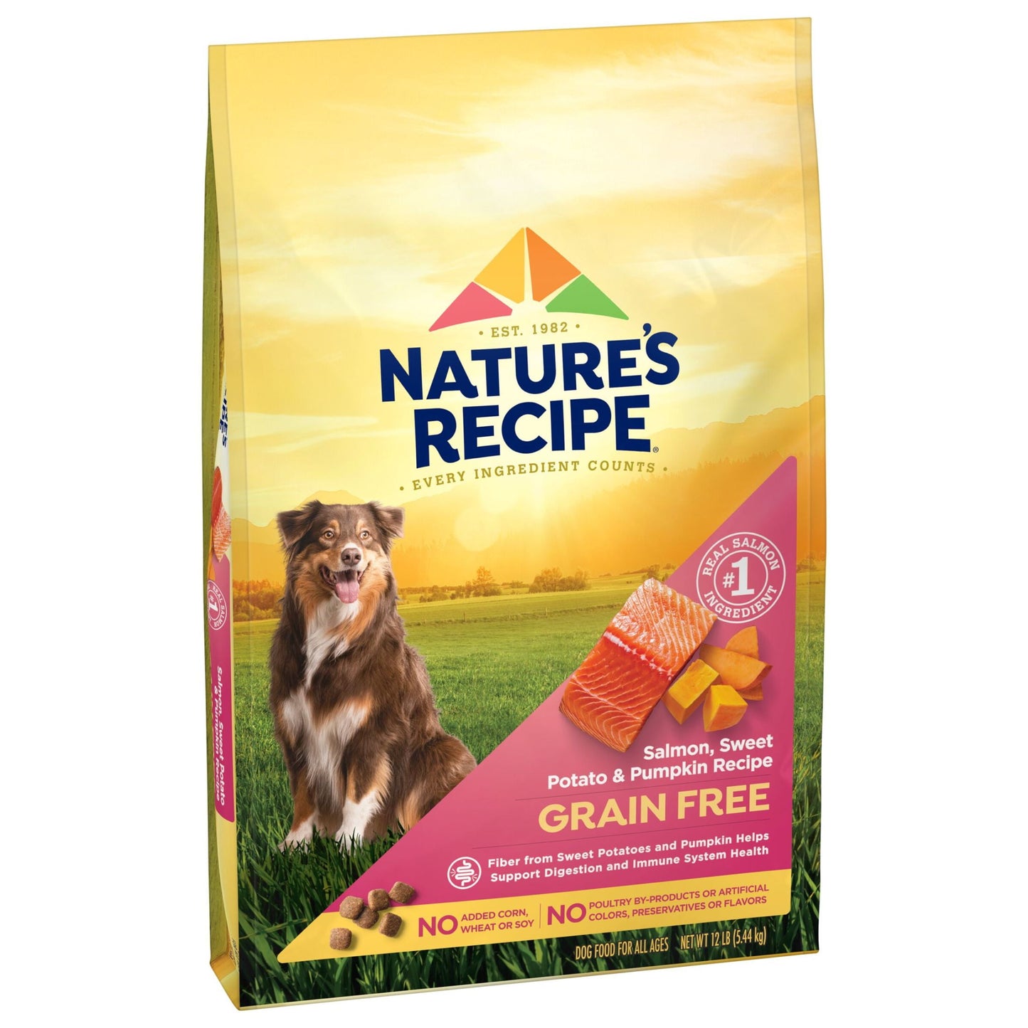 Nature’s Recipe Grain Free Salmon, Sweet Potato & Pumpkin Recipe Dry Dog Food, 12 lb. Bag