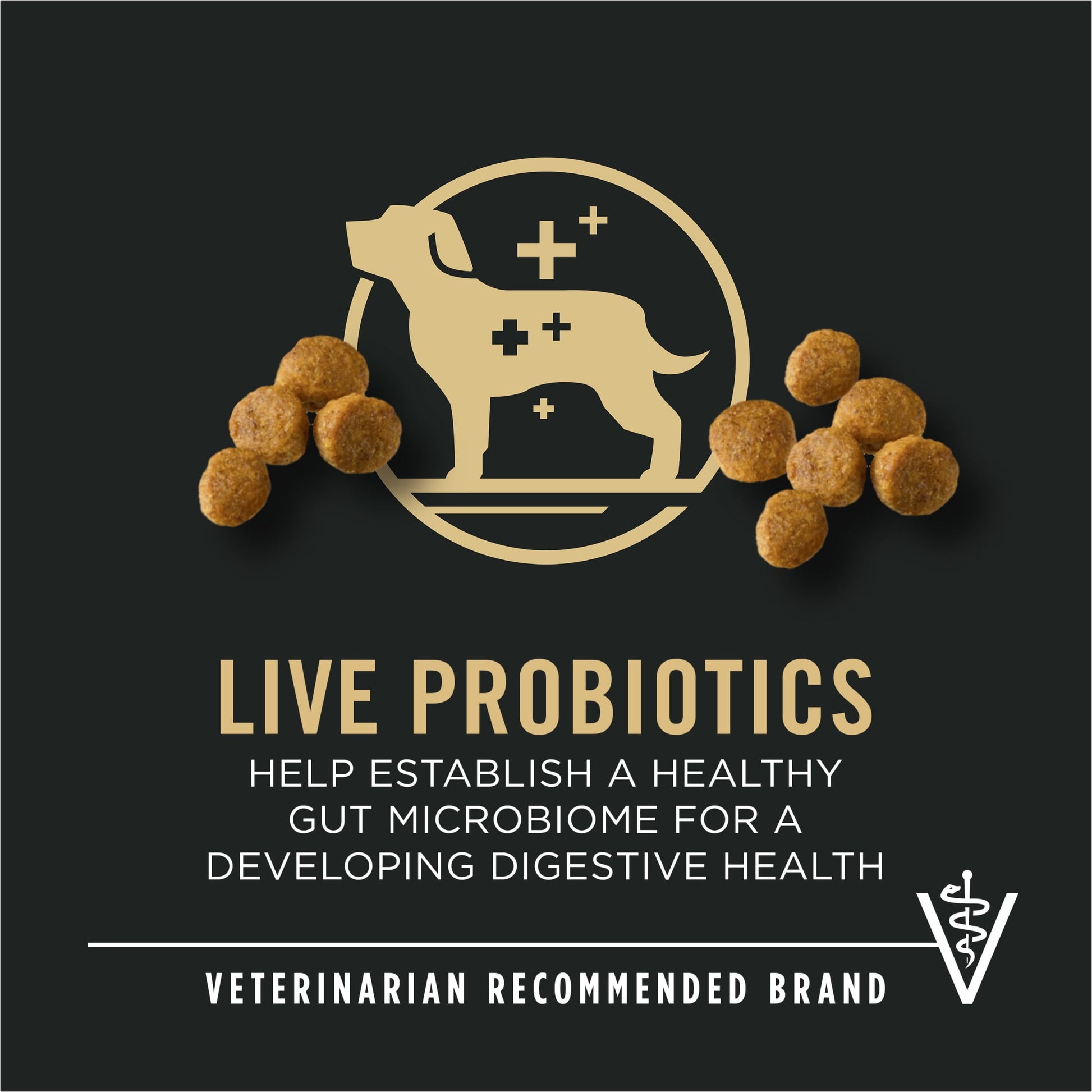 Purina Pro Plan High Protein Small Breed Puppy Food DHA Chicken & Rice Formula, 6 lb. Bag