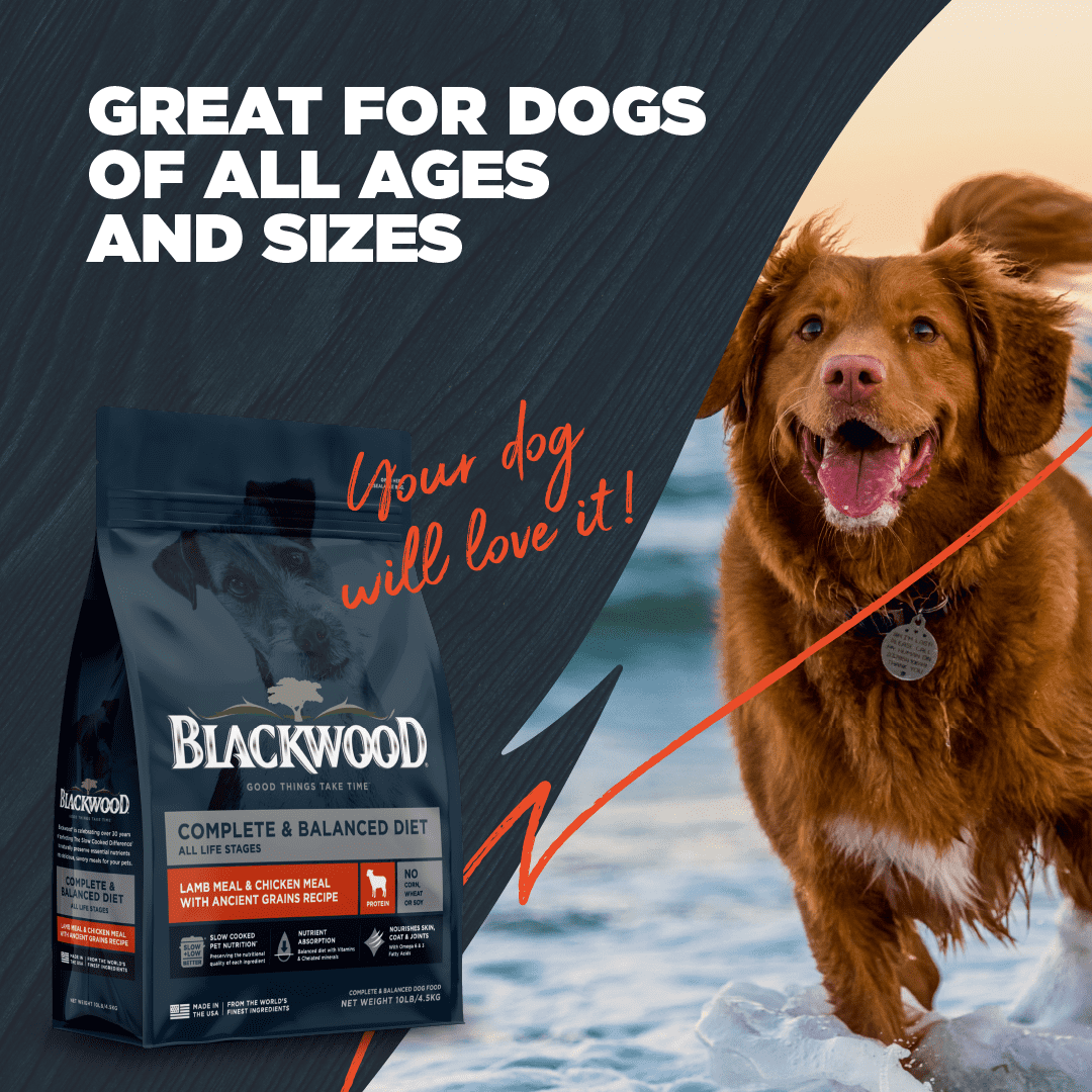 Blackwood Dry Dog Food Lamb & Chicken Meal with Ancient Grains 24 lb.