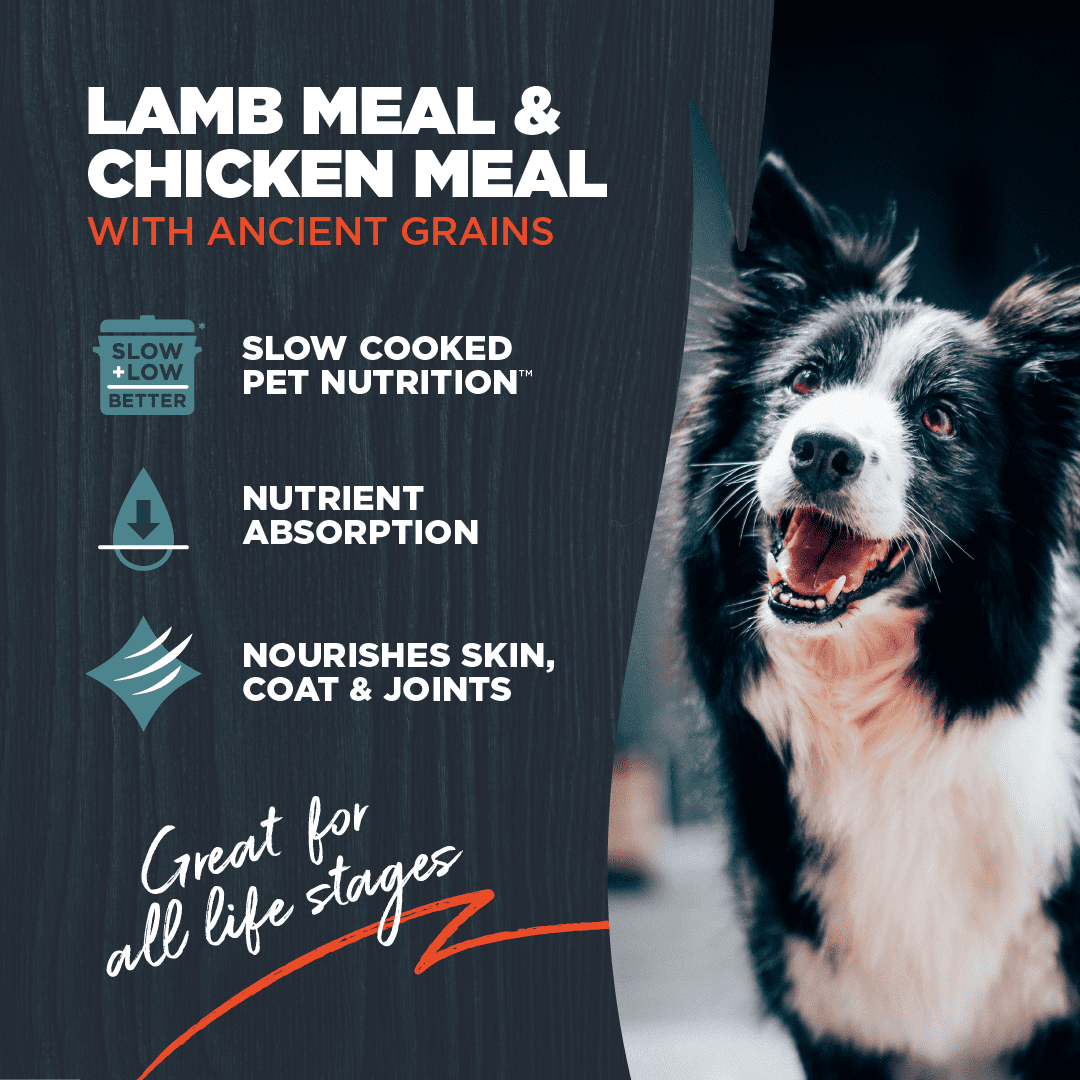 Blackwood Dry Dog Food Lamb & Chicken Meal with Ancient Grains 24 lb.