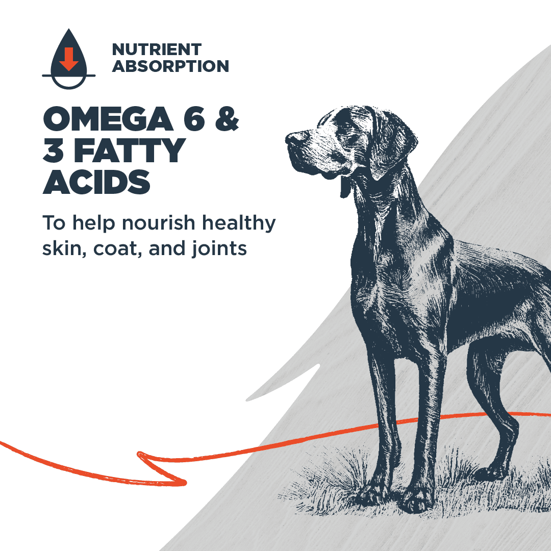 Blackwood Dry Dog Food Lamb & Chicken Meal with Ancient Grains 24 lb.