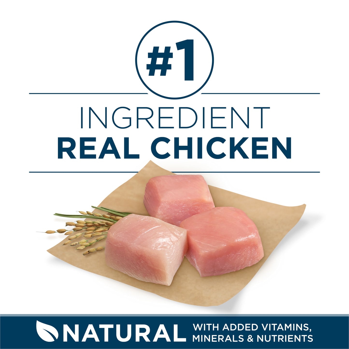 Purina ONE Plus Dry Large Breed Dog Food for Adult Dogs, Real Protein Rich Natural Chicken Flavor, 40lb Bag