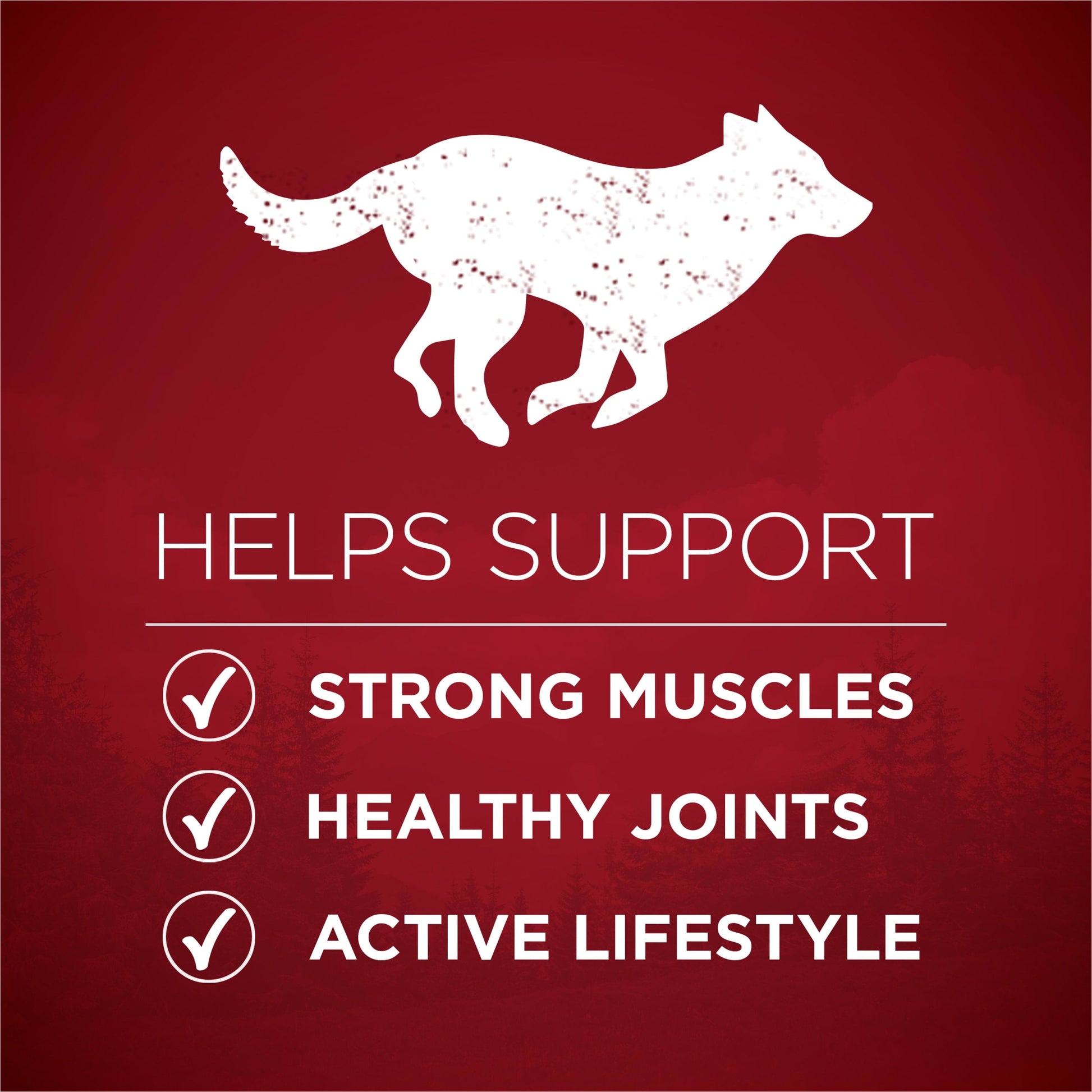 Purina ONE True Instinct Dry Dog Food, High Protein with Real Chicken & Duck, 3.8 lb Bag