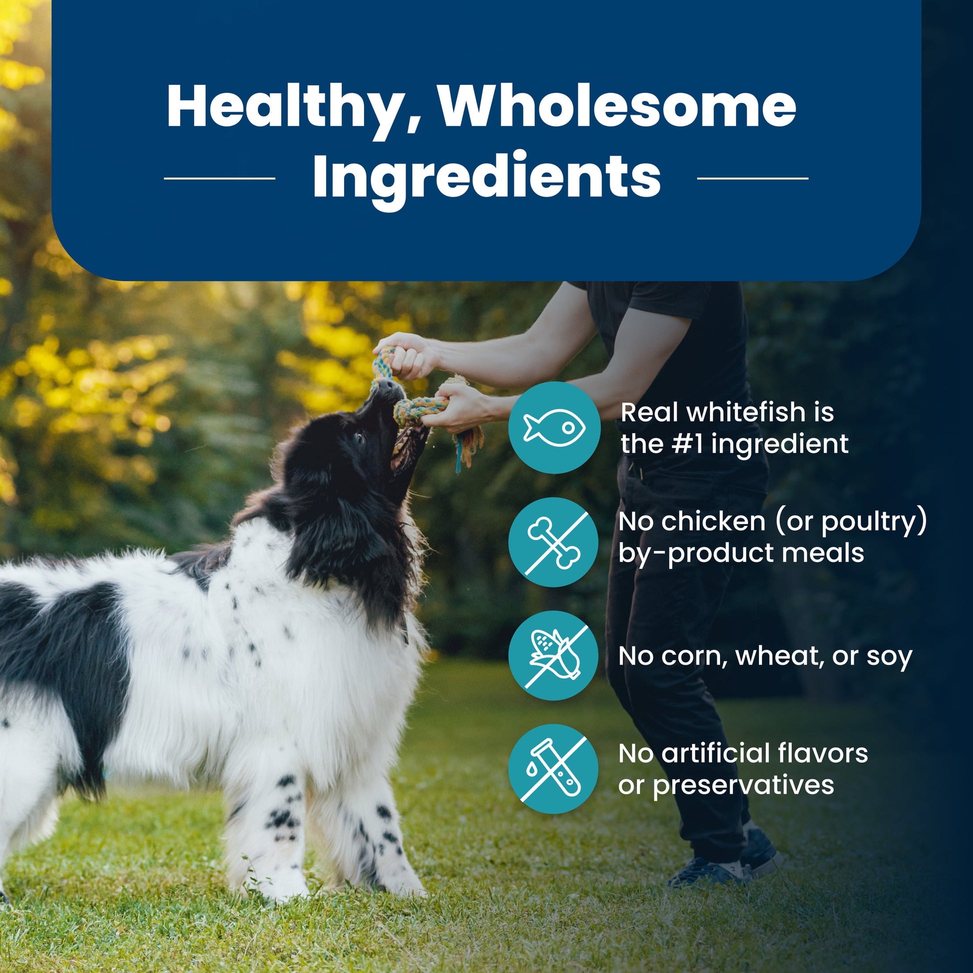 Blue Buffalo Life Protection Formula Natural Dry Dog Food, Fish & Brown Rice, 15-lb. Bag