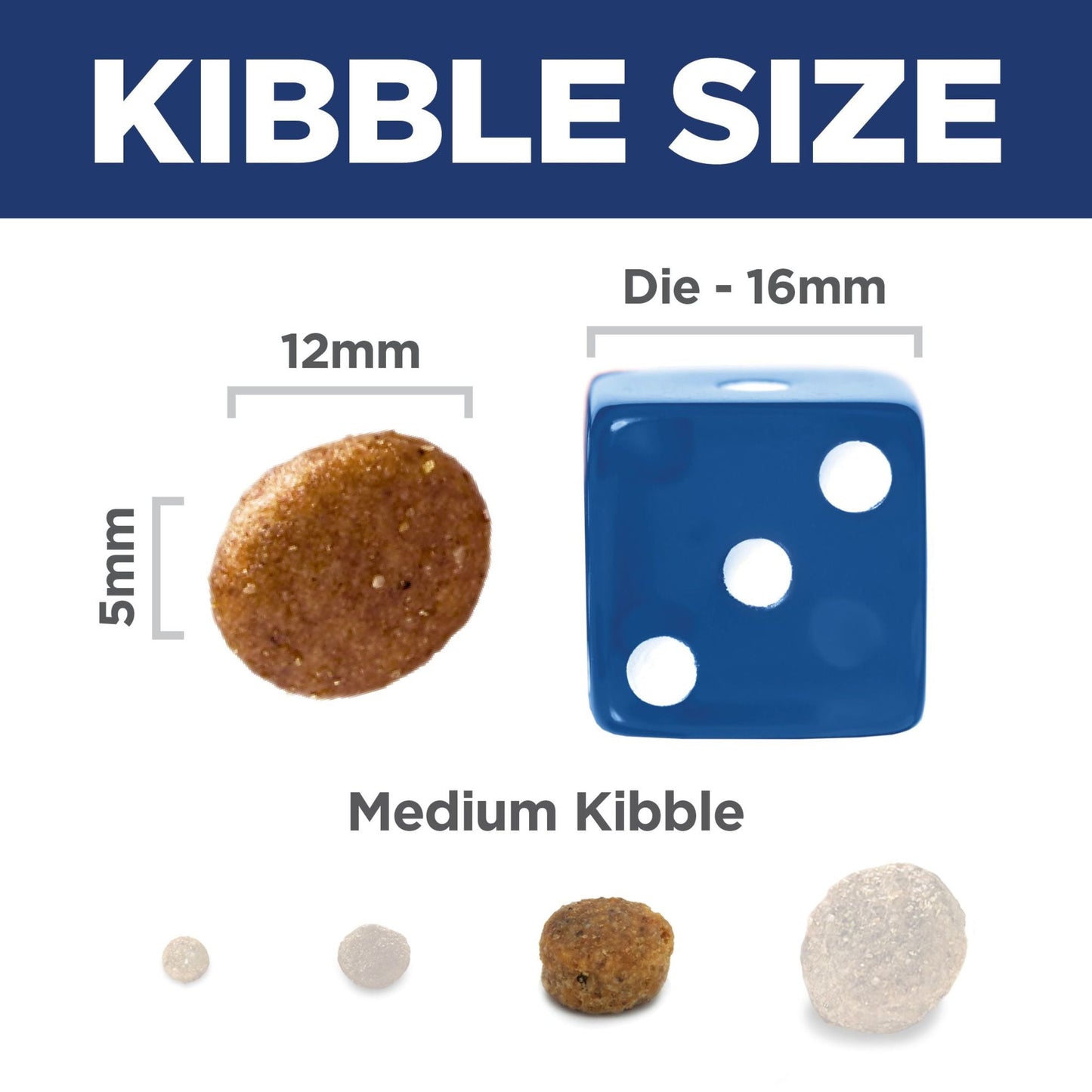 Hill's Science Diet Salmon & Brown Rice Recipe Dry Dog Food, 4.5lb Bag