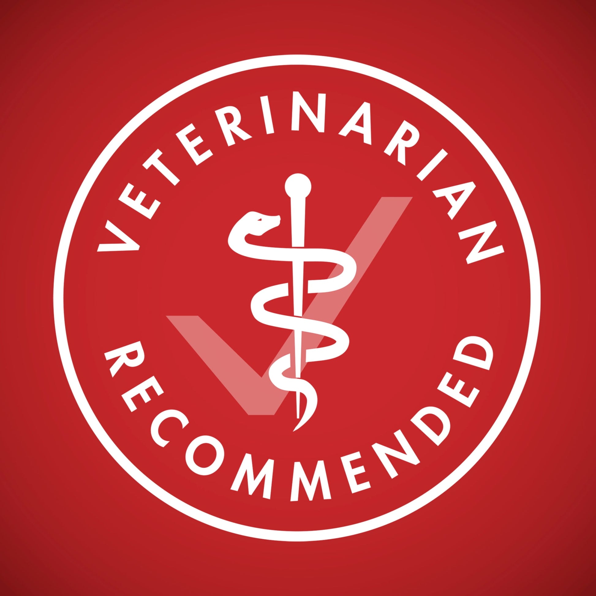 Purina ONE Dry Dog Food Lamb and Rice Formula 8 lb. Bag