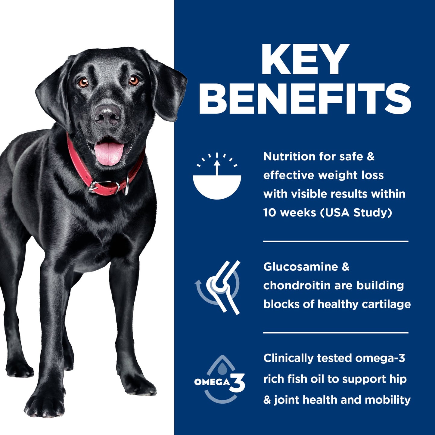 Hill's Science Diet Perfect Weight + Joint Support Chicken Dry Dog Food, 25lb Bag