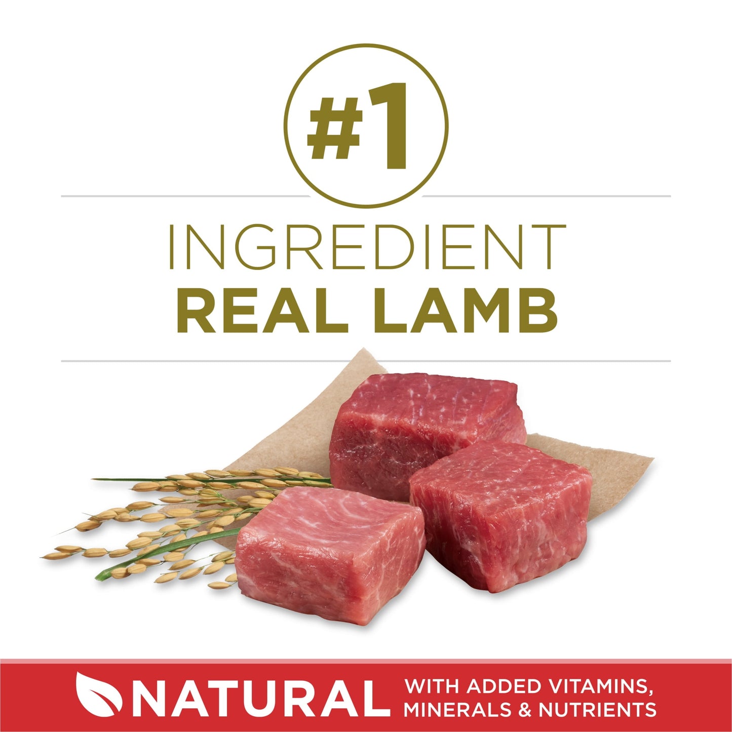 Purina ONE Dry Dog Food Lamb and Rice Formula 8 lb. Bag