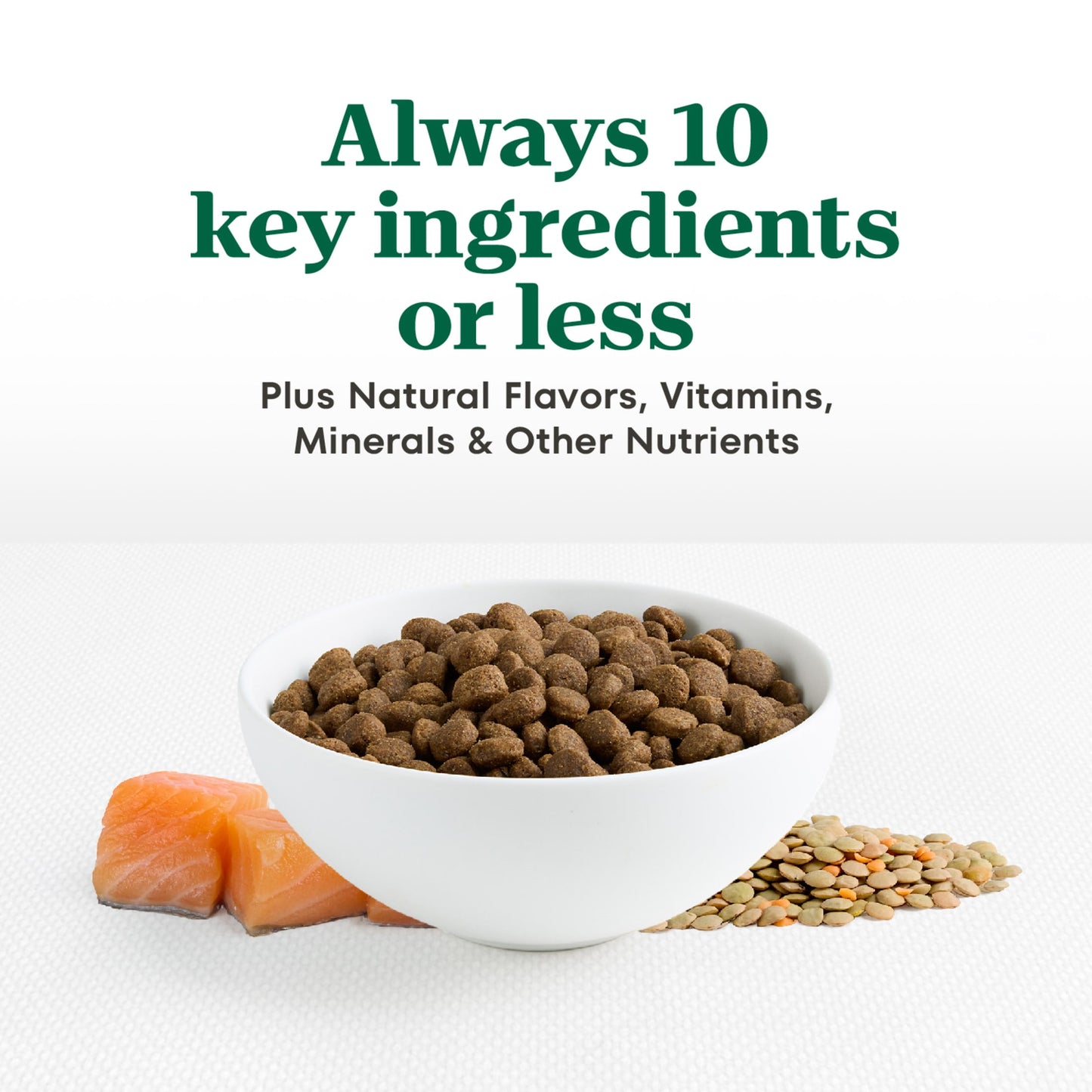 Nutro Limited Ingredient Diet Dry Dog Food, Salmon & Lentils Recipe, 22 Lbs.