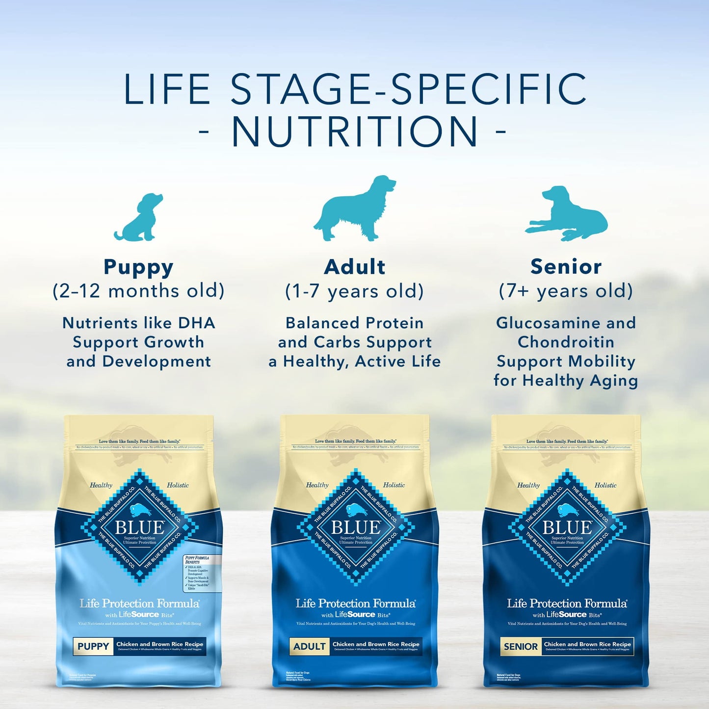 Blue Buffalo Life Protection Formula Natural Puppy Dry Dog Food, (Pack of 6)