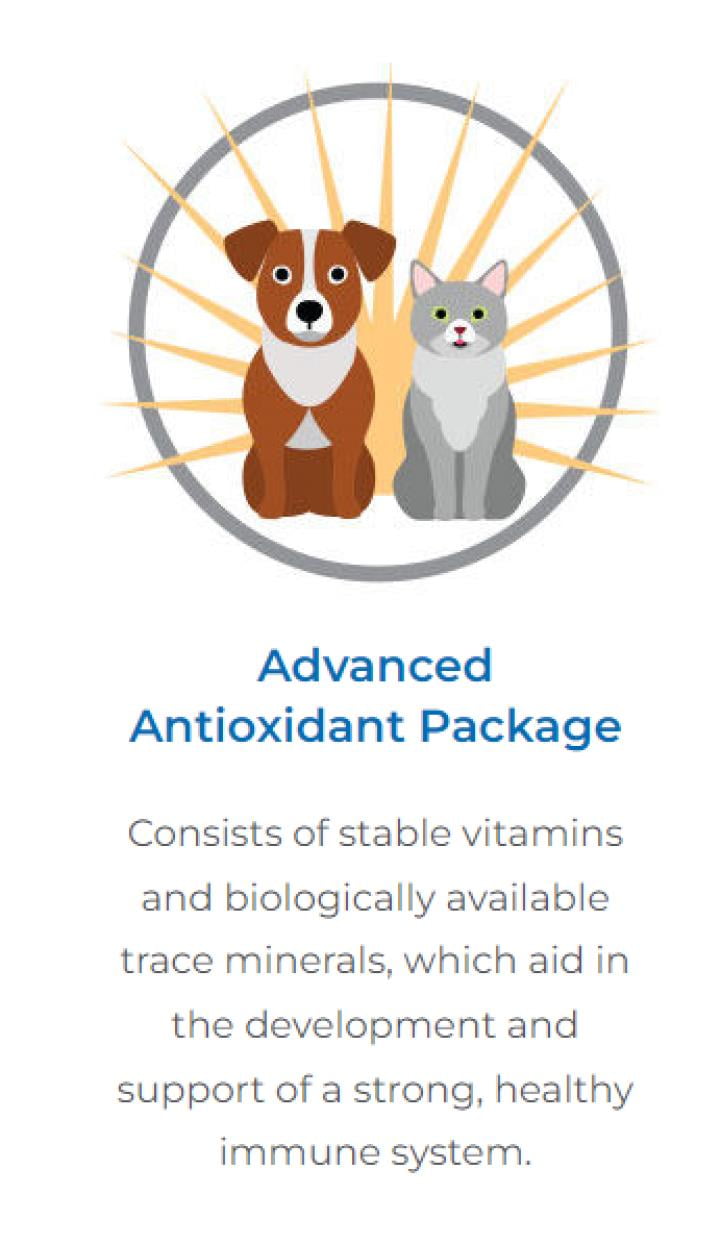 Entrust Performance EnTrust Adult Dry Dog Food, Real Lamb & Rice, 35 lbs Bag