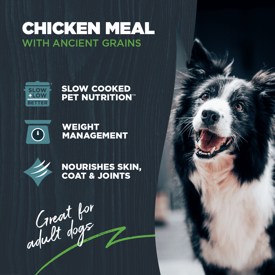 Blackwood Dry Dog Food Lean/Senior Chicken Meal with Ancient Grains 24 lb.