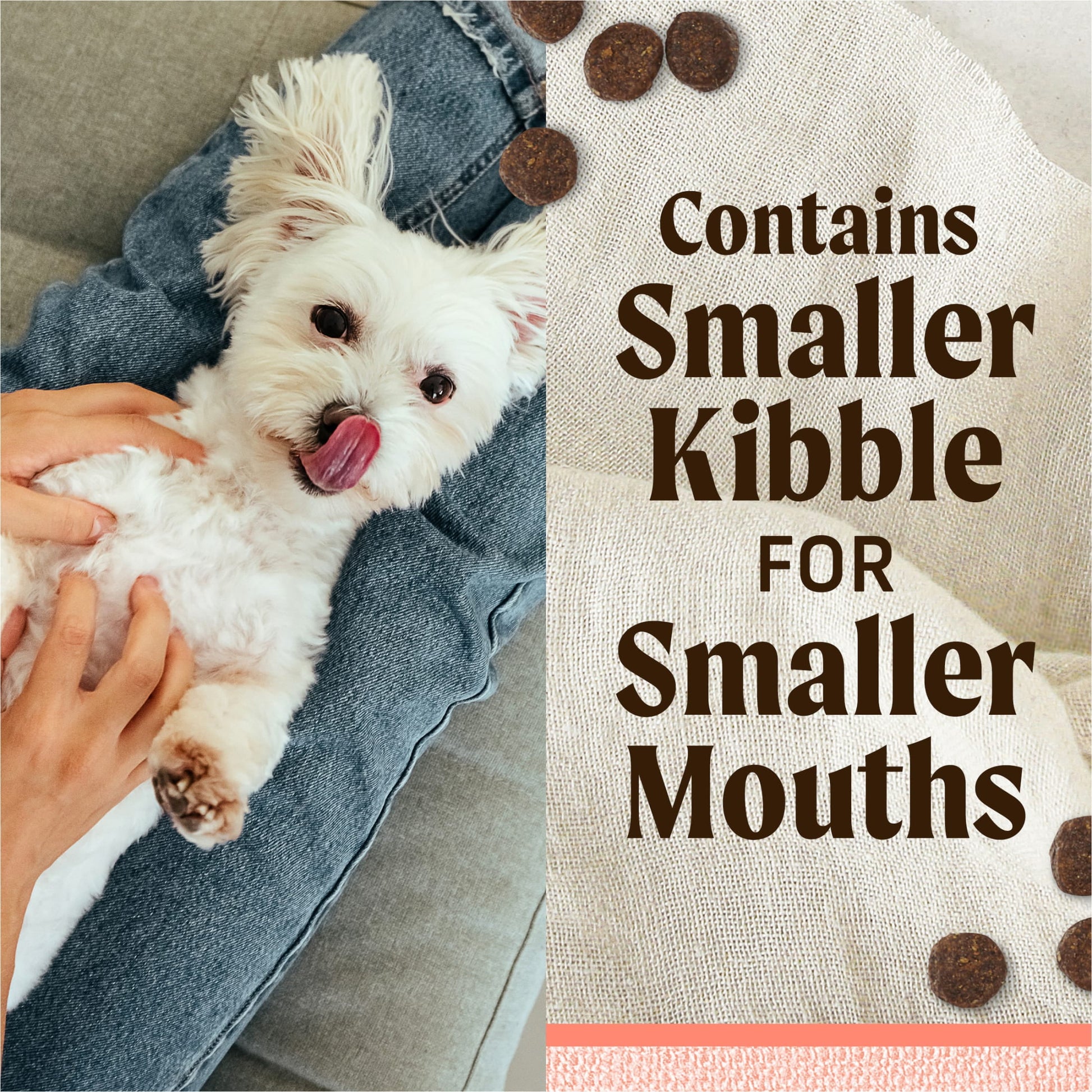 Merrick Lil’ Plates Premium Grain Free Dry Dog Food for Small Dogs, Real Salmon and Sweet Potato Kibble, 12.0 lb. Bag