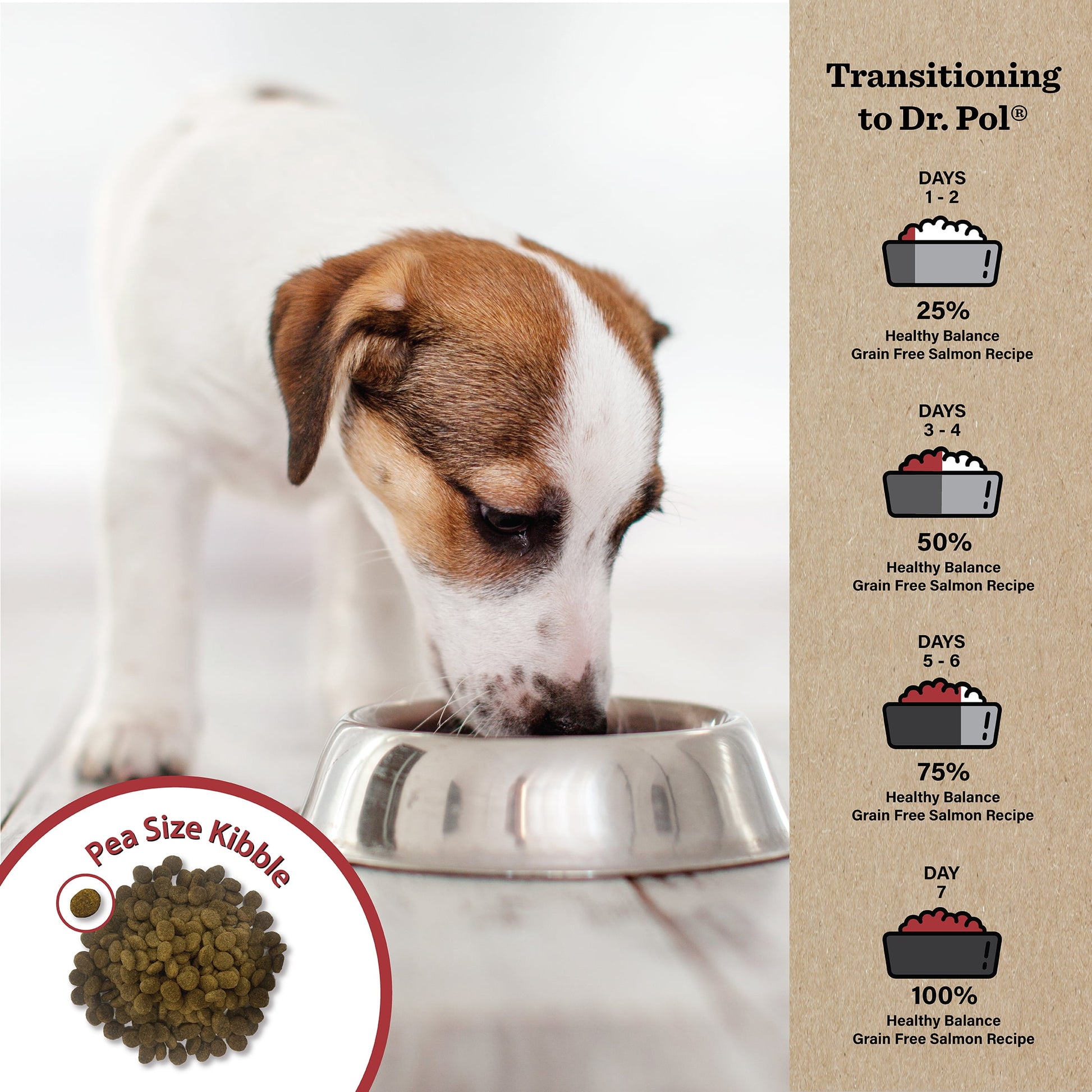 Dr. Pol Healthy Balance Limited Ingredient Grain-Free Salmon Recipe Dog Food, 4 lb. Bag