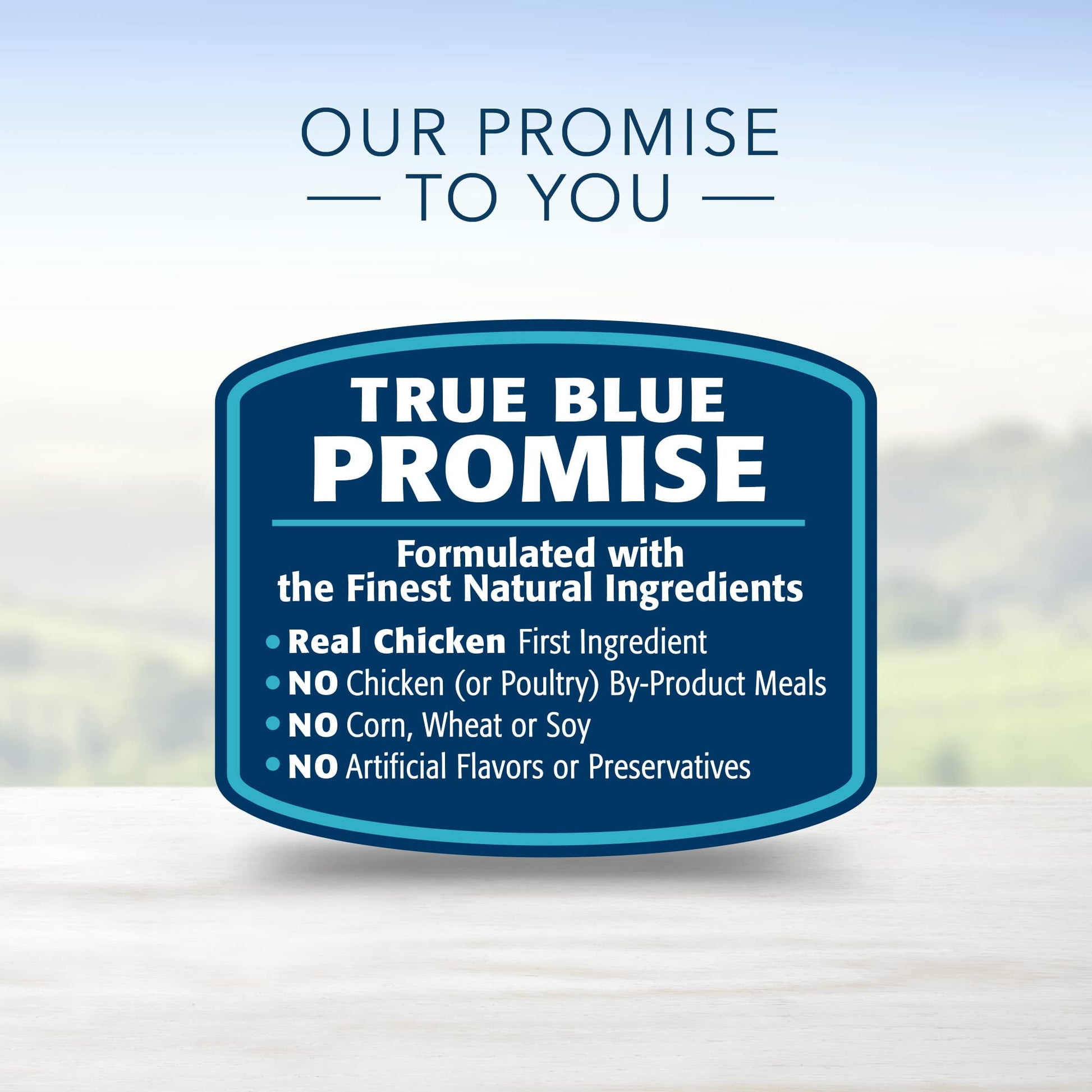 Blue Buffalo Life Protection Formula Natural Puppy Dry Dog Food, (Pack of 8)