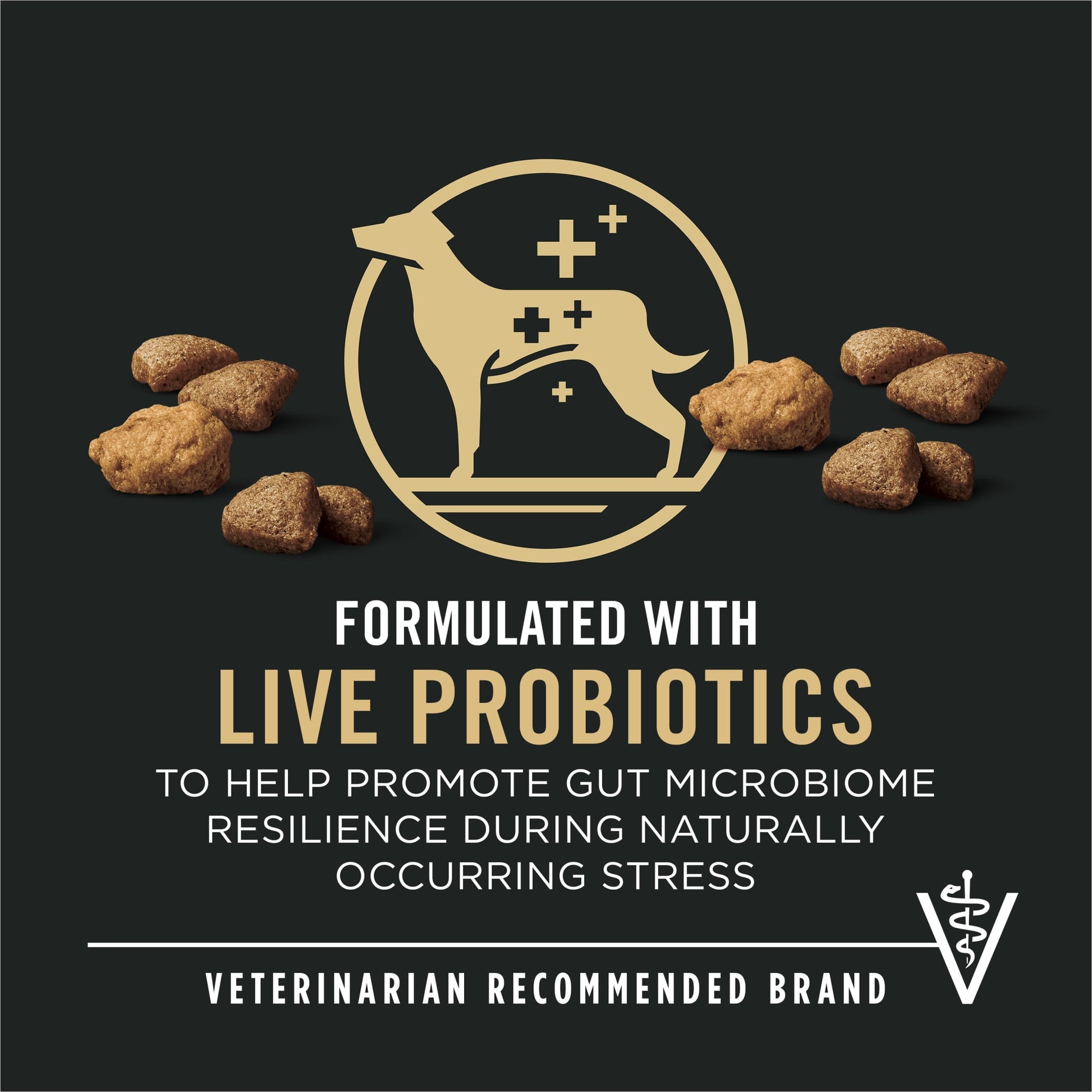 Purina Pro Plan Complete Essentials Shredded Blend Salmon and Rice Dry Dog Food Formula with Probiotics for Dogs, 5 lb Bag