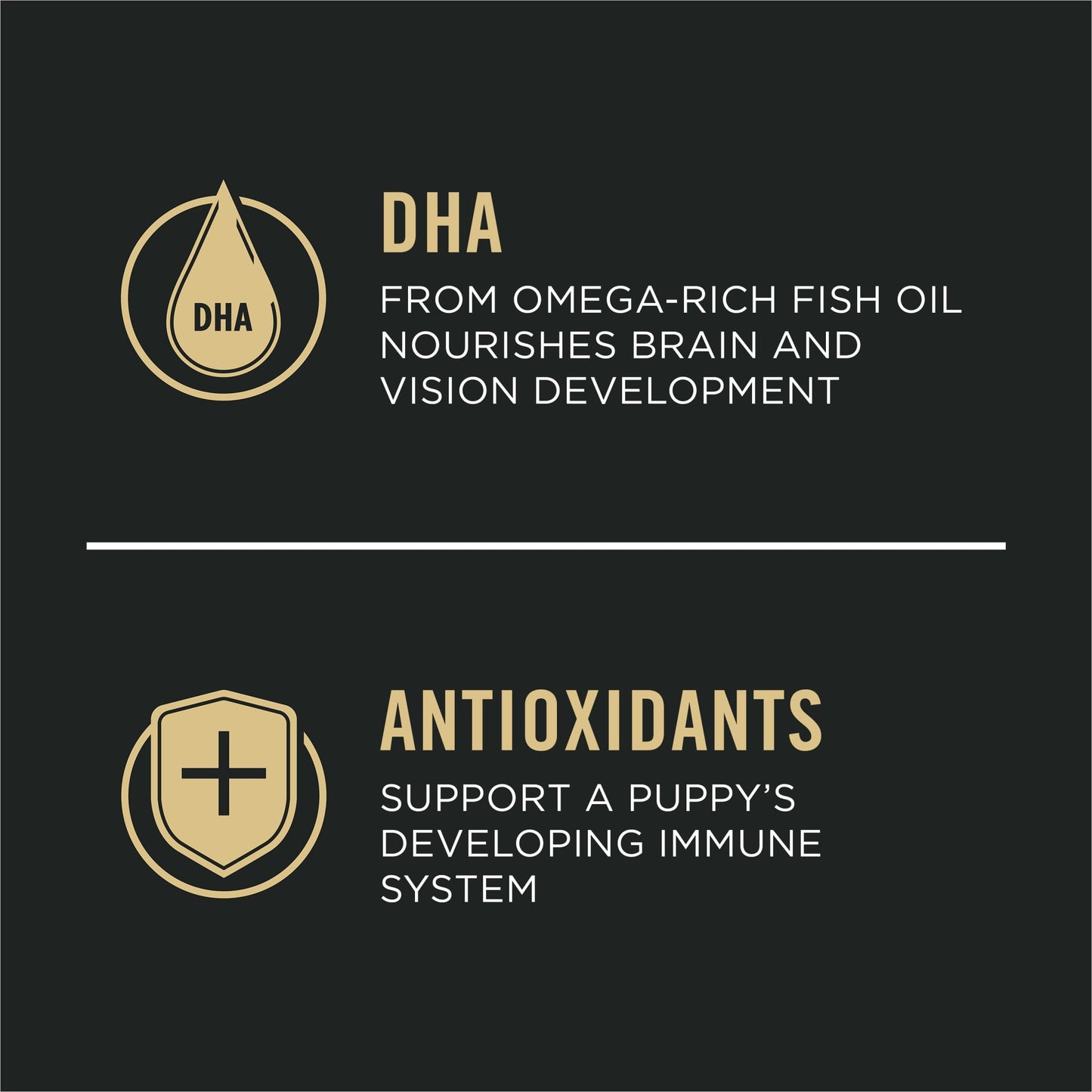 Purina Pro Plan High Protein Small Breed Puppy Food DHA Chicken & Rice Formula, 6 lb. Bag