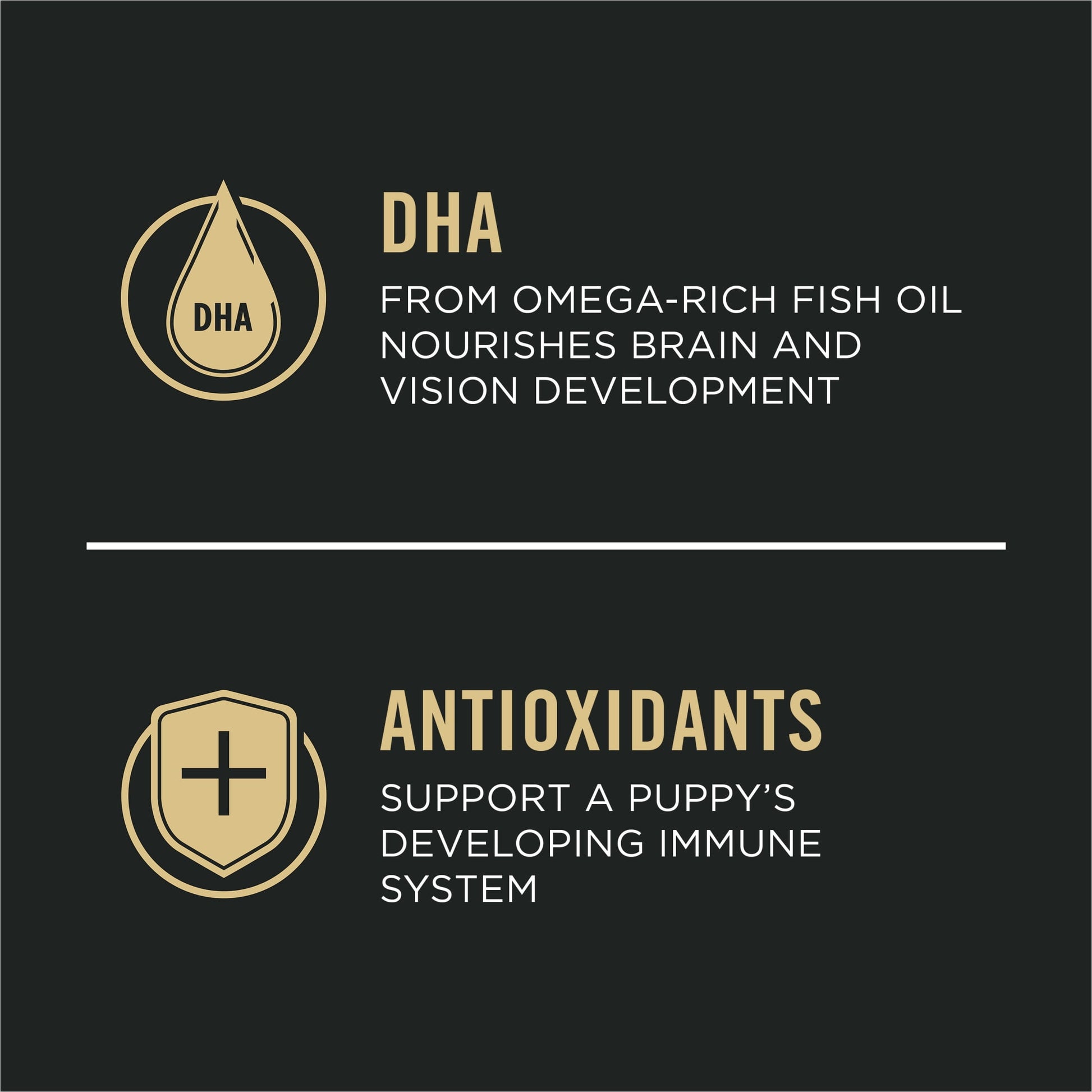 Purina Pro Plan High Protein Small Breed Puppy Food DHA Chicken & Rice Formula, 6 lb. Bag