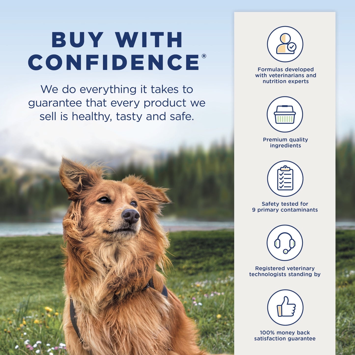 Natural Balance L.I.D. Limited Ingredient Diets Dry Dog Food, 4 Pounds, Salmon & Brown Rice Puppy Formula