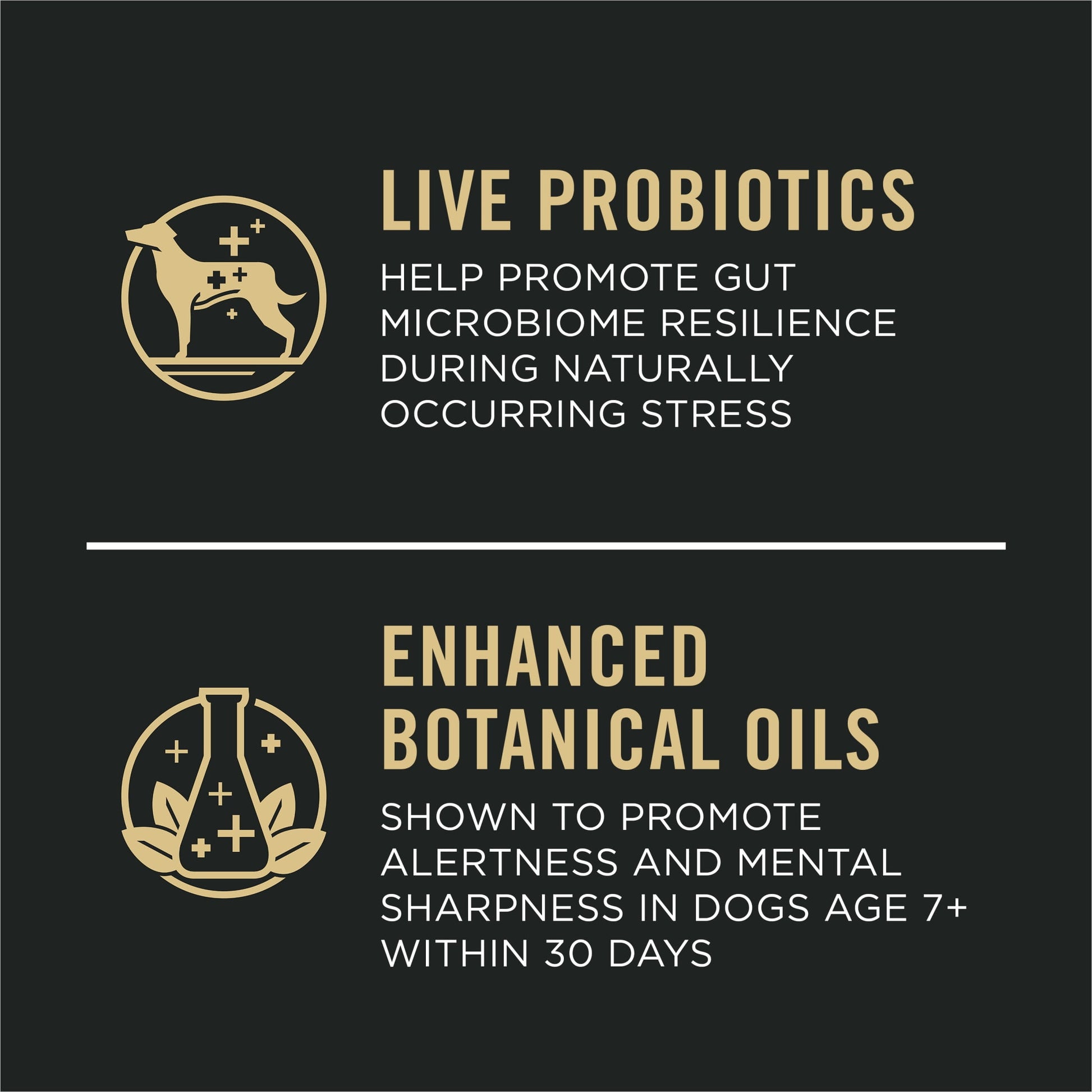 Purina Pro Plan Large Breed Senior Dog Food Bright Mind Seven Plus Chicken and Rice Formula