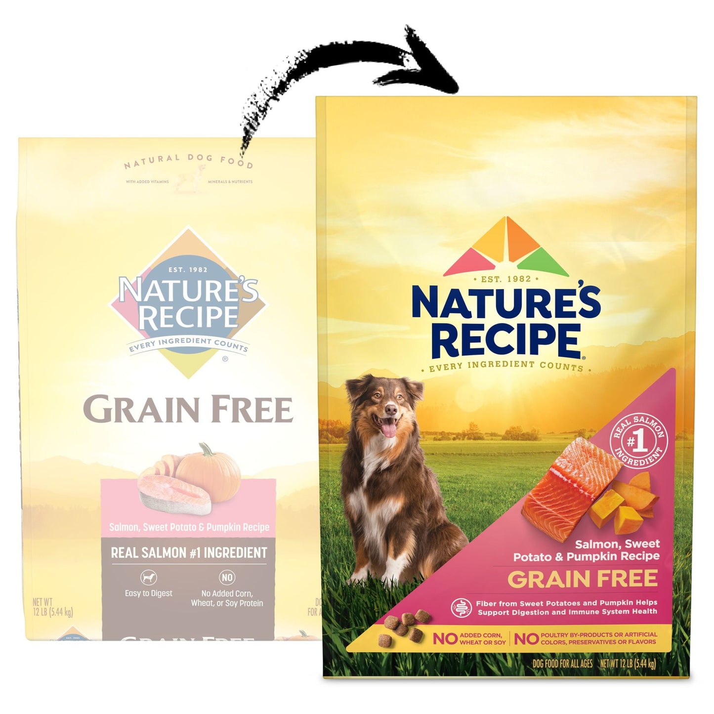 Nature’s Recipe Grain Free Salmon, Sweet Potato & Pumpkin Recipe Dry Dog Food, 12 lb. Bag