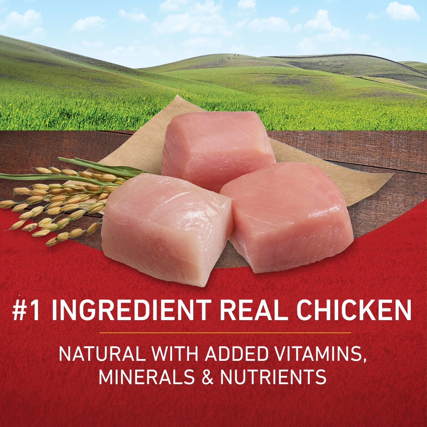 Purina One Dry Dog Food for Adult Dogs High Protein, Real Chicken & Rice, 16.5 lb Bag