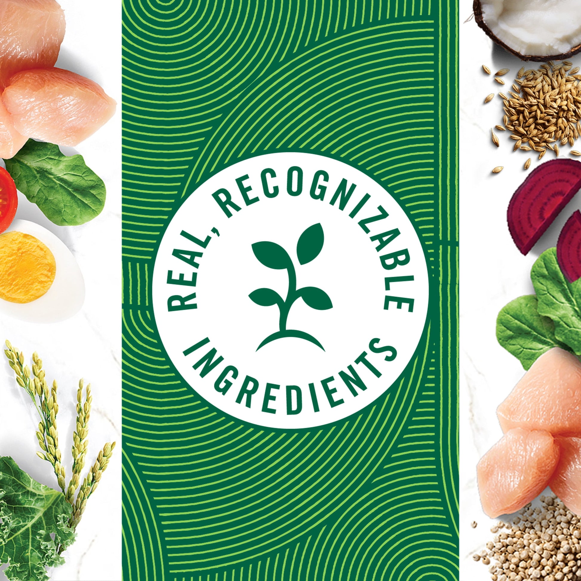 Nutro Natural Choice Large Breed Puppy Dry Dog Food, Chicken And Brown Rice, 30 Lbs.