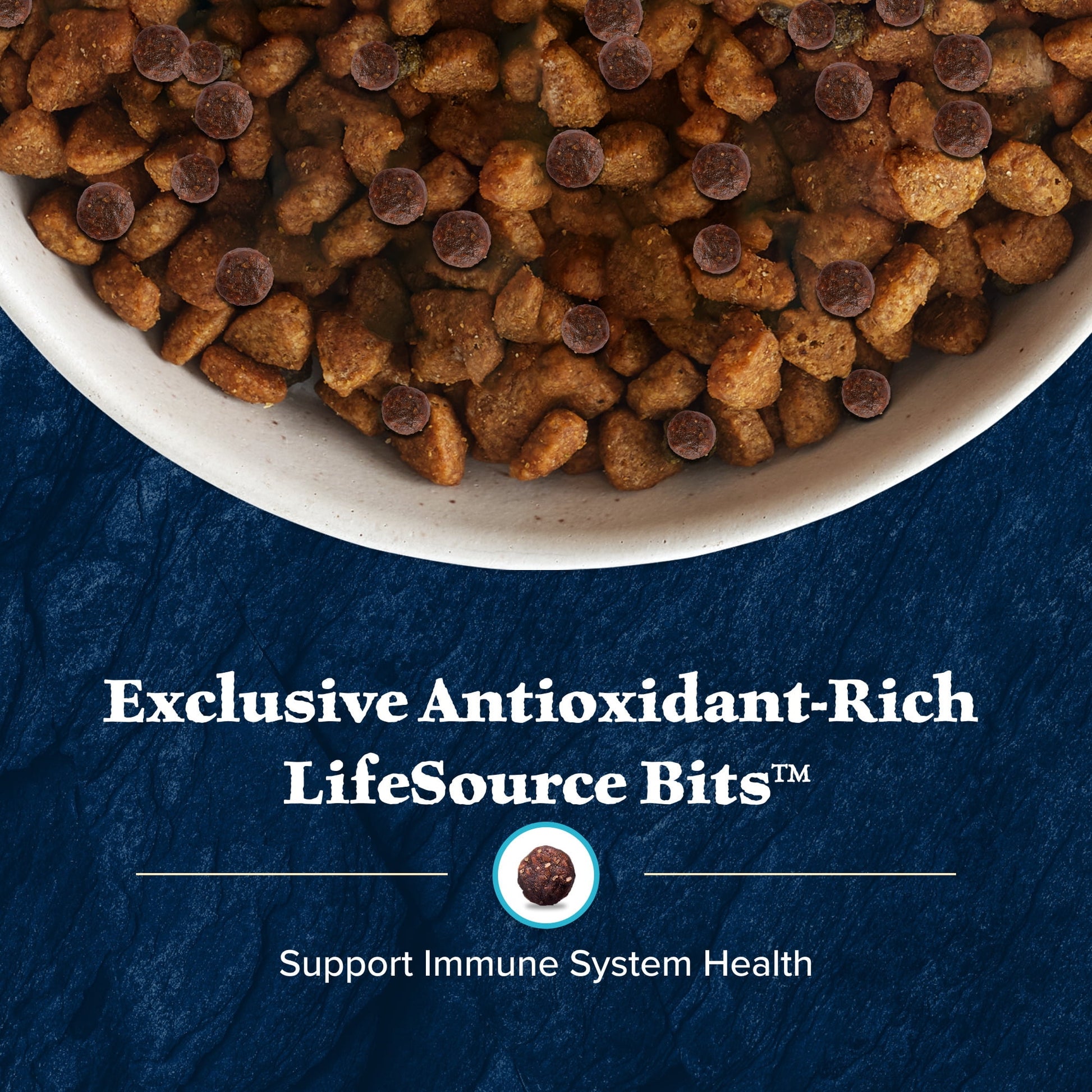 Blue Buffalo Wilderness High-Protein Natural Dry Food for Puppies, Salmon Recipe 4.5-lb. Bag