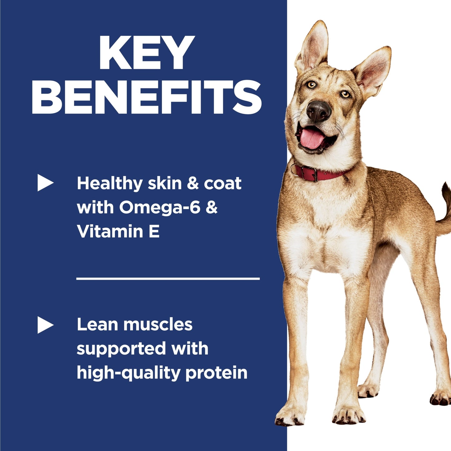 Hill's Science Diet Salmon & Brown Rice Recipe Dry Dog Food, 4.5lb Bag