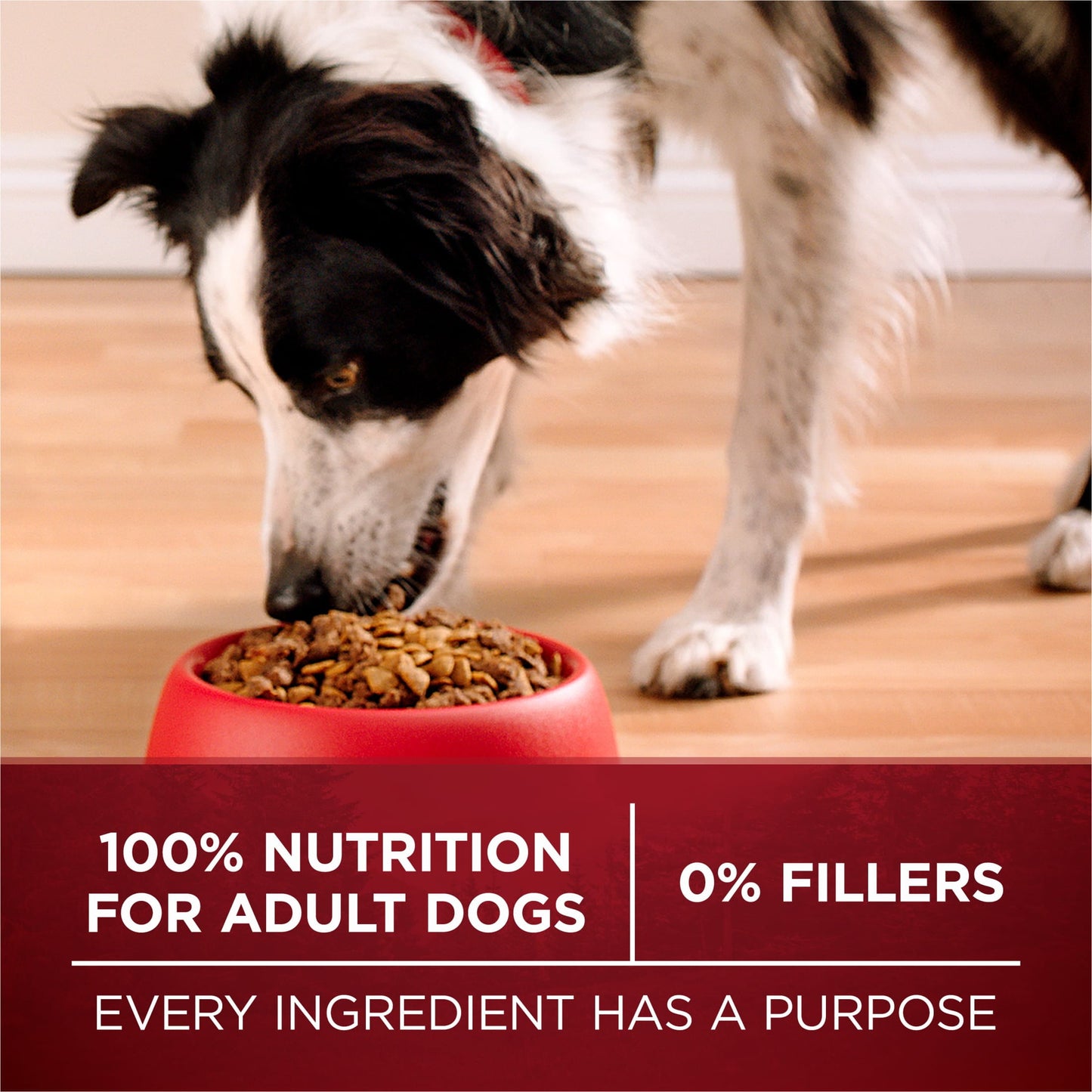 Purina ONE True Instinct Dry Dog Food, High Protein Nutrient Dense Real Salmon & Tuna, 36 lb Bag