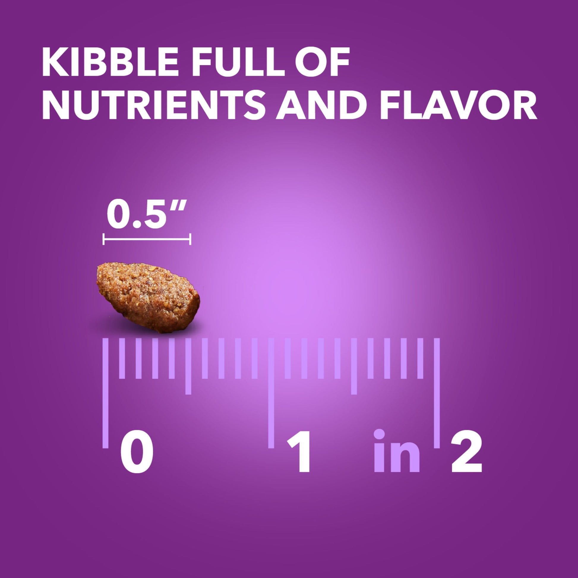 Iams Advanced Health Skin & Coat Chicken And Salmon Recipe Adult Dry Dog Food, 27 Lb Bag