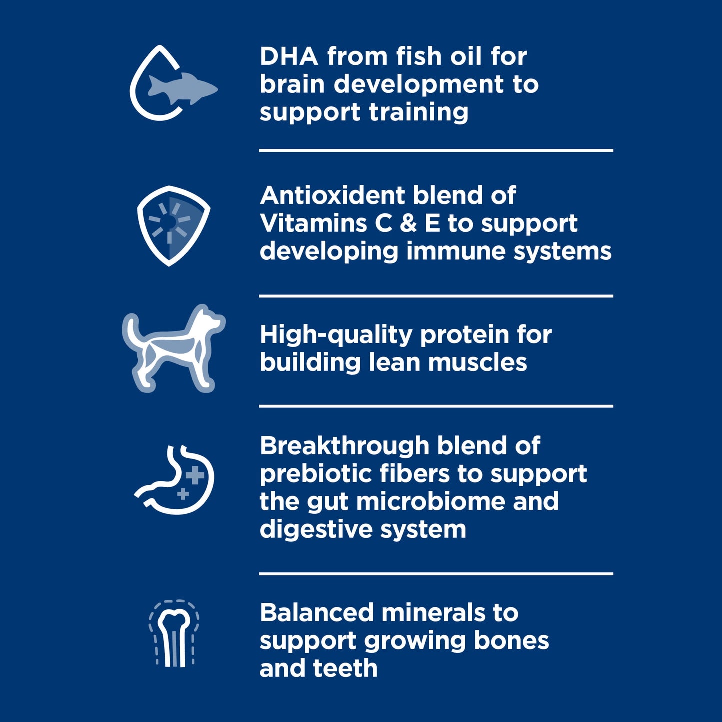 Hill's Science Diet Lamb & Brown Rice Dry Dog Food for Puppies, 12.5lb Bag