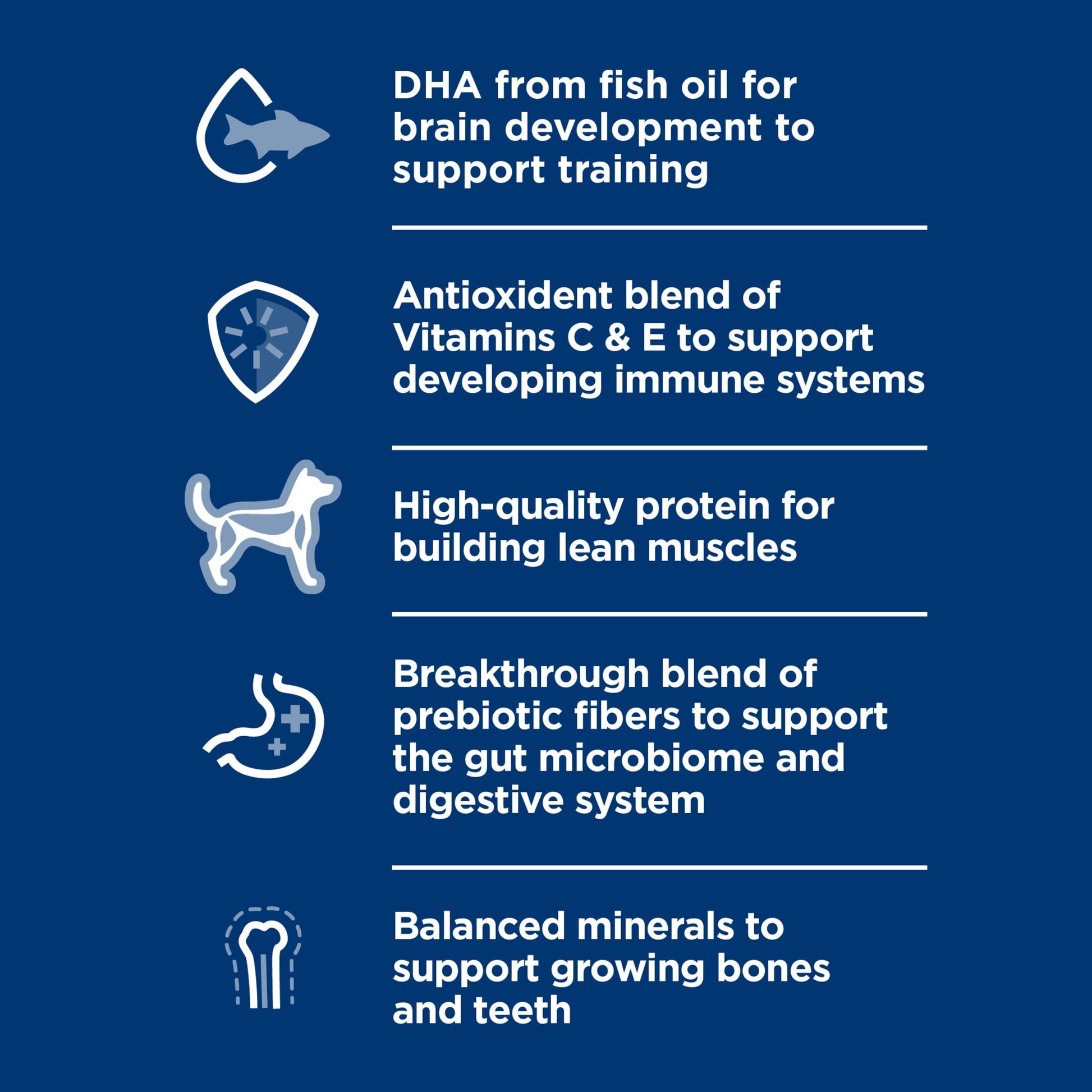 Hill's Science Diet Lamb & Brown Rice Dry Dog Food for Puppies, 12.5lb Bag