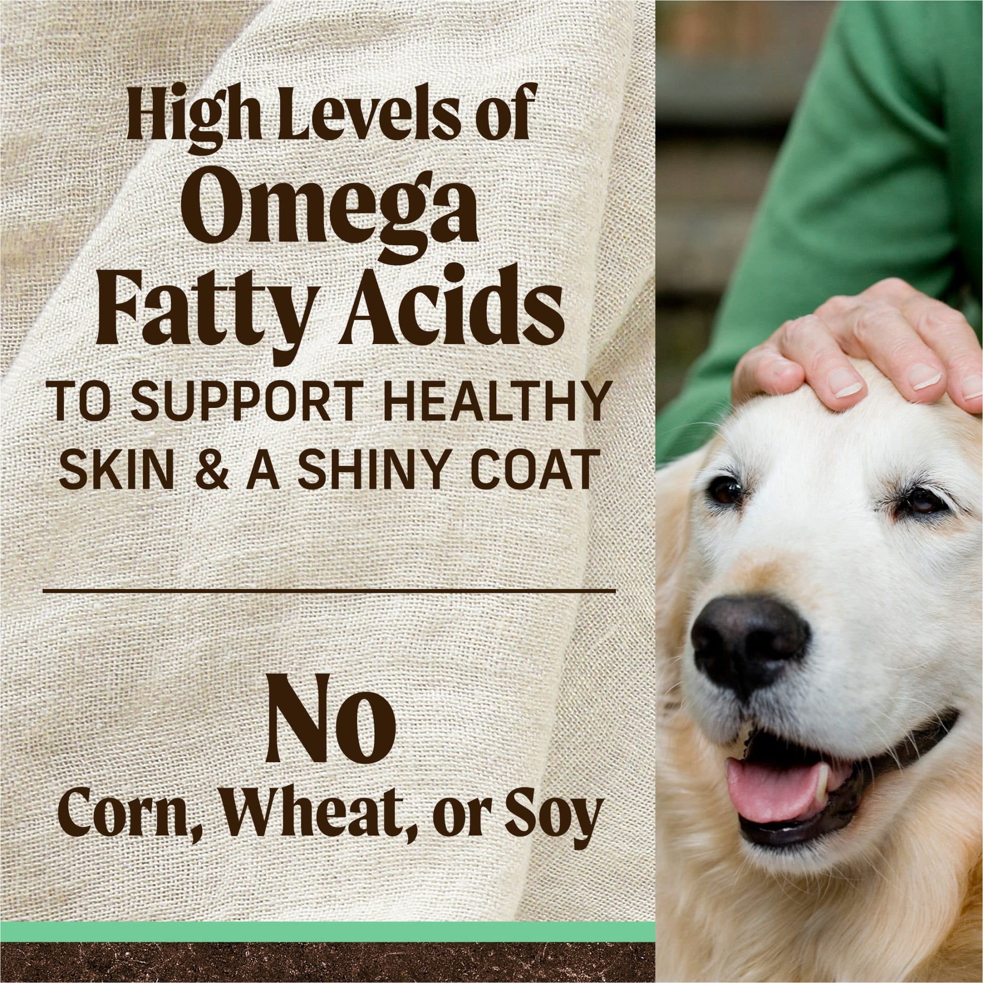 Merrick Grain-Free Dry Dog Food for Seniors, High Protein Real Chicken & Sweet Potato, 22 lb Bag