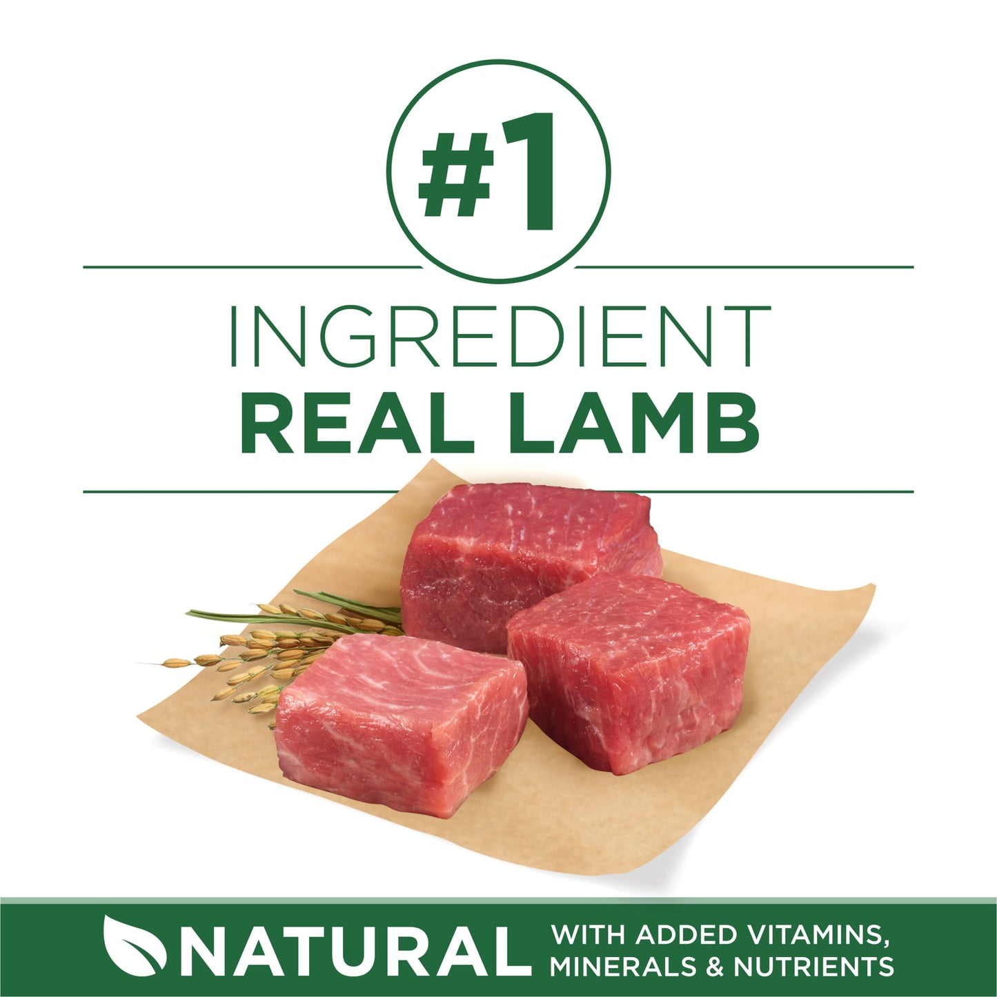 Purina ONE Natural Grain-Free Dry Dog Food, High Protein Lamb, Small Breeds, 3.8 lb Bag