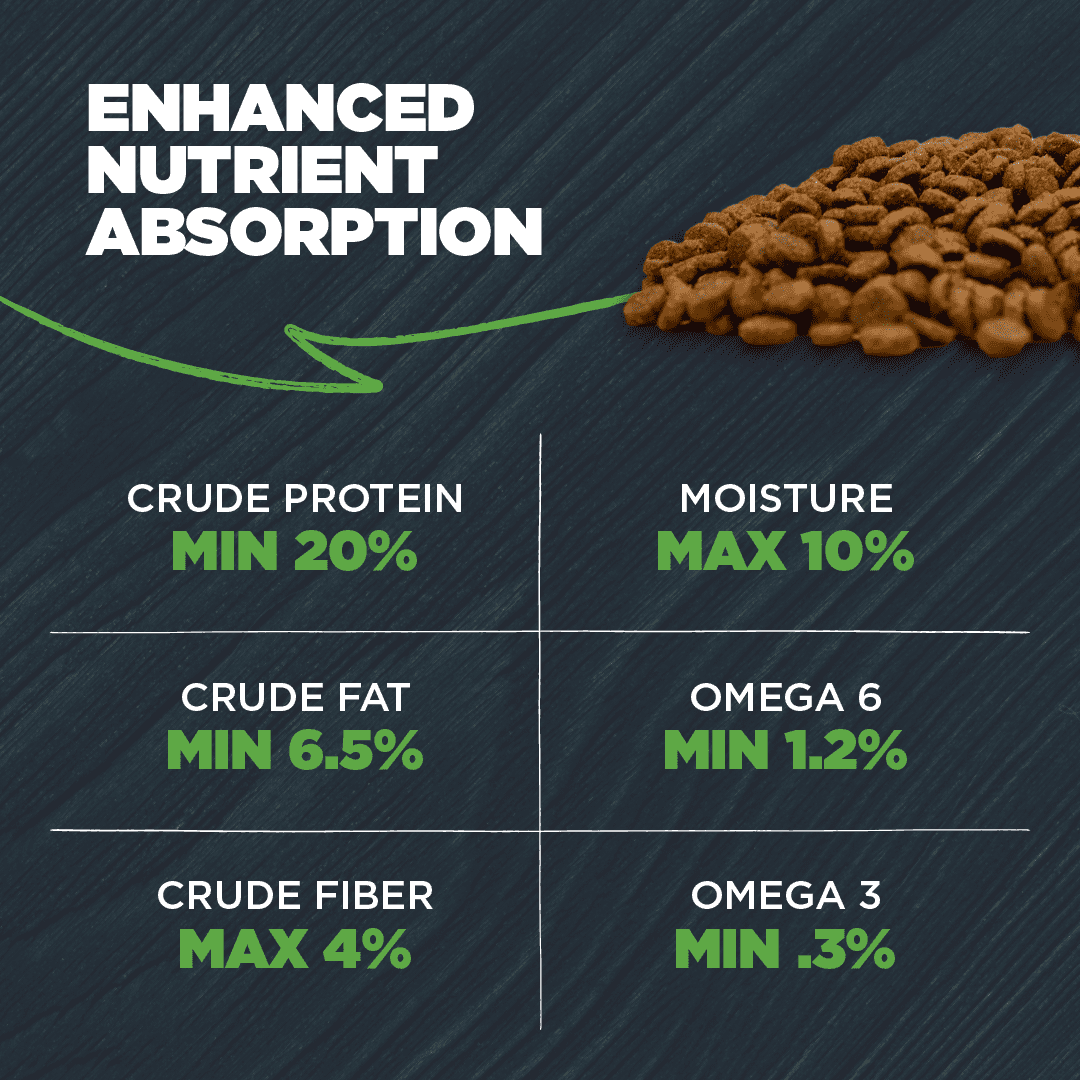 Blackwood Dry Dog Food Lean/Senior Chicken Meal with Ancient Grains 24 lb.