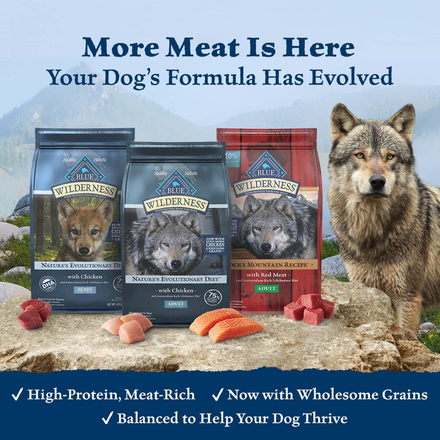 Blue Buffalo Blue Wilderness Plus Wholesome Grains (Pack of 4)