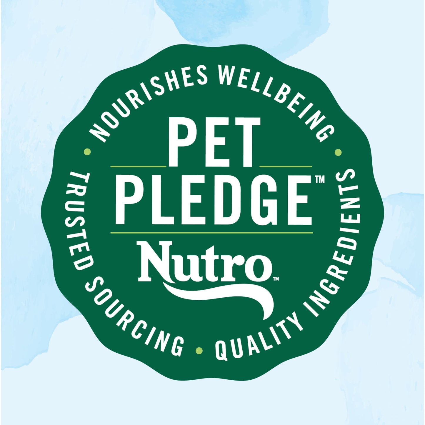 Nutro Limited Ingredient Diet Dry Dog Food, Salmon & Lentils Recipe, 22 Lbs.