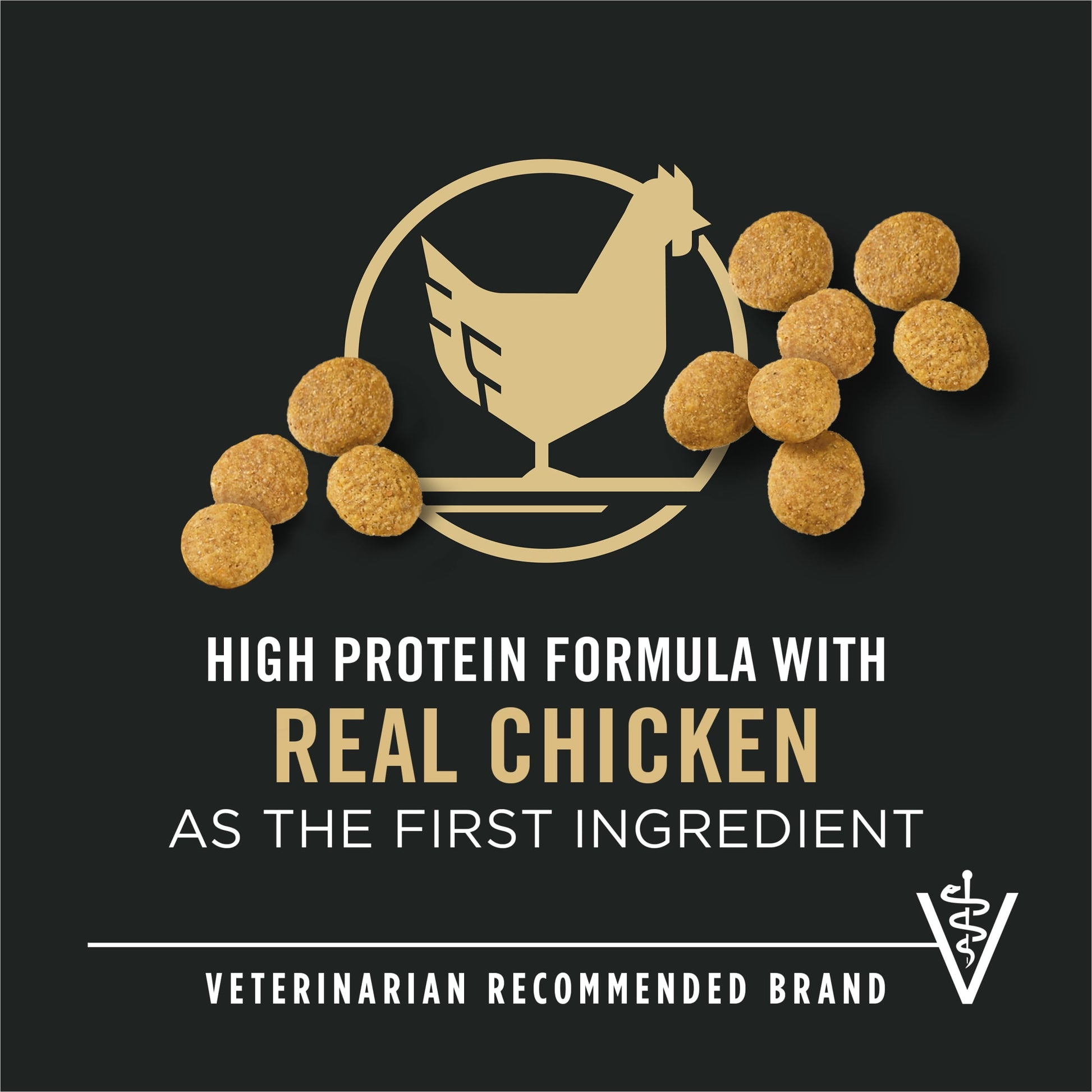 Purina Pro Plan Large Breed Senior Dog Food Bright Mind Seven Plus Chicken and Rice Formula