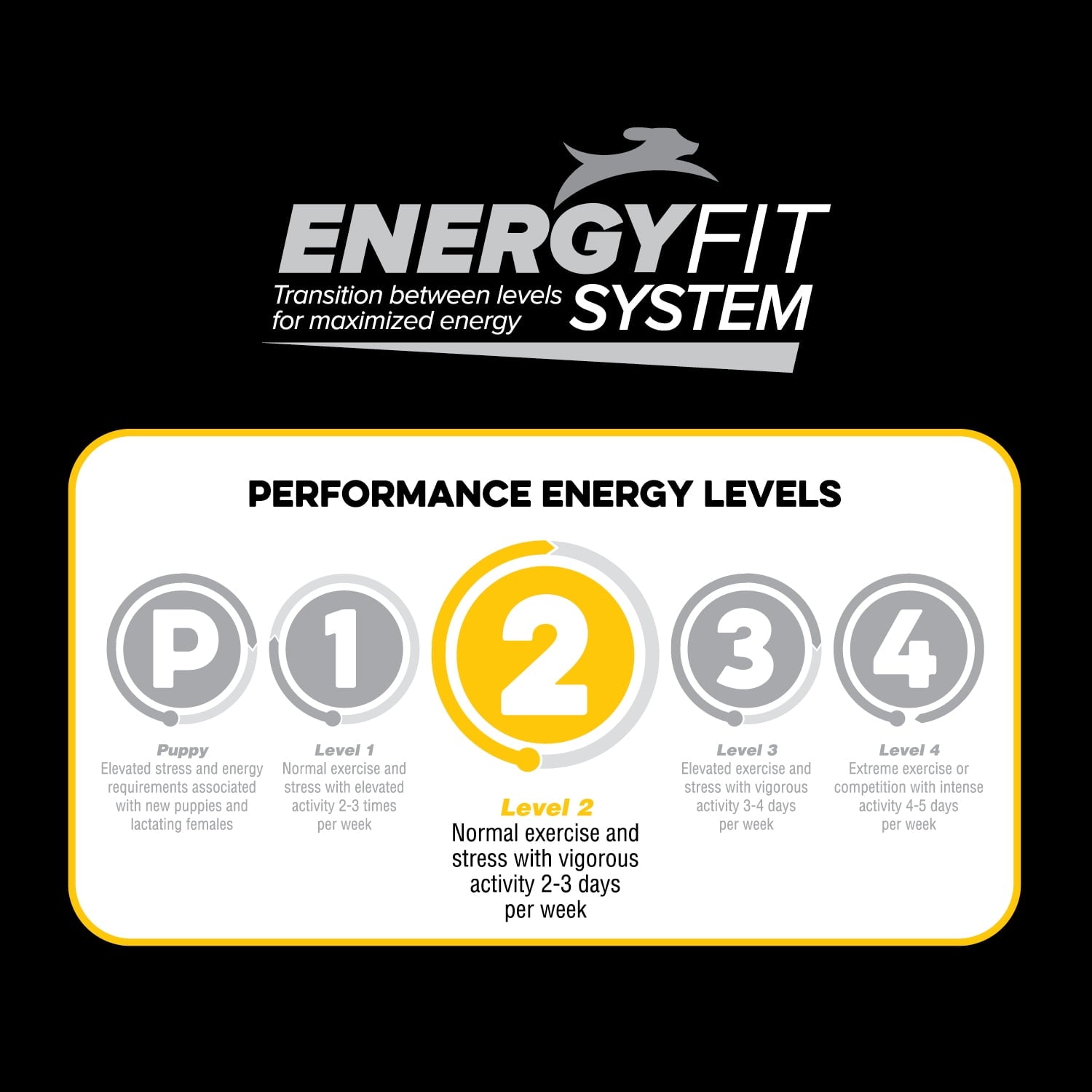 Native Performance Dog Food Level 2 Chicken Meal and Rice Formula 40lbs