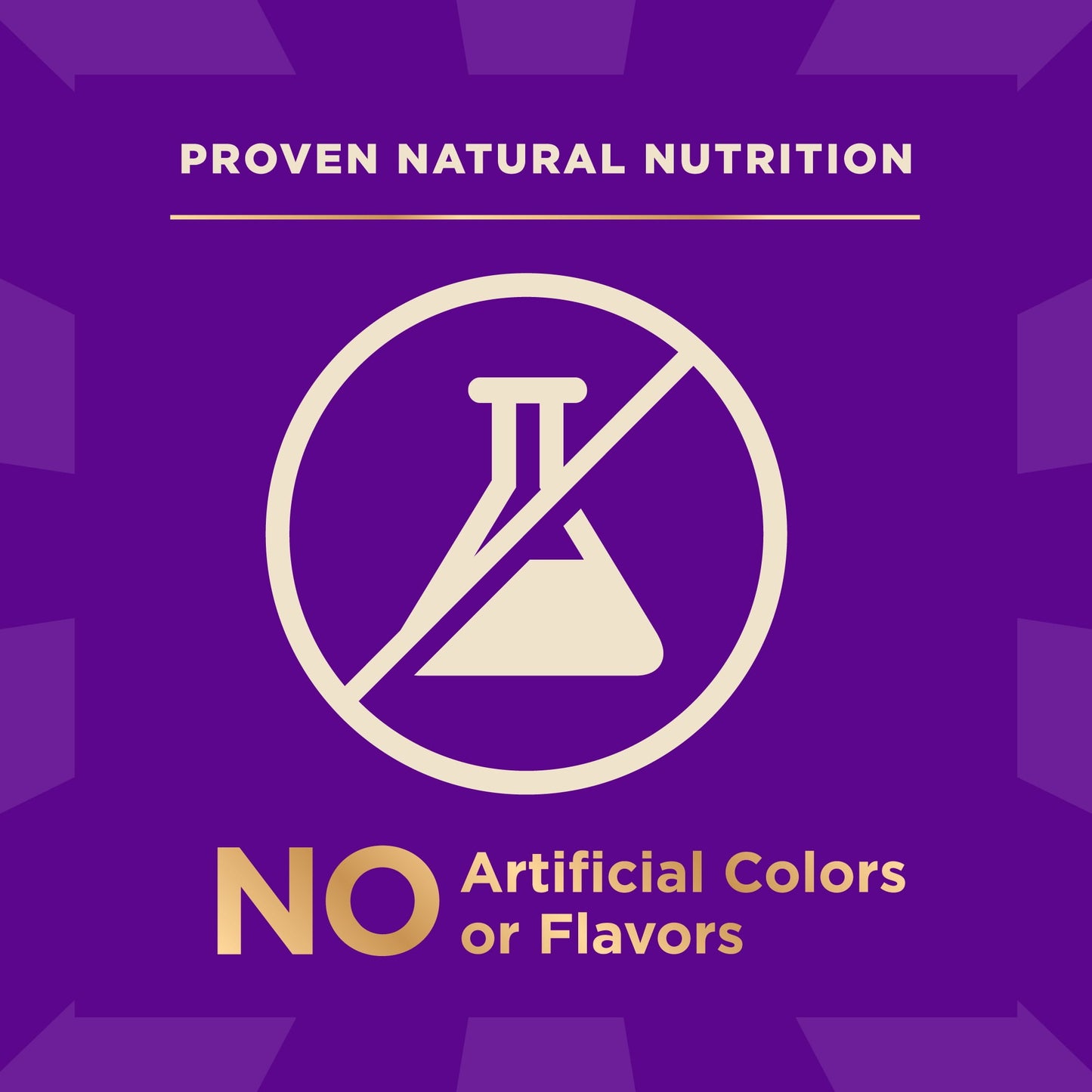 Wellness CORE+ Dry Dog Food with Freeze Dried Pieces, Wholesome Grains, High Protein, Natural, Original Turkey & Chicken Recipe, (20-Pound Bag)